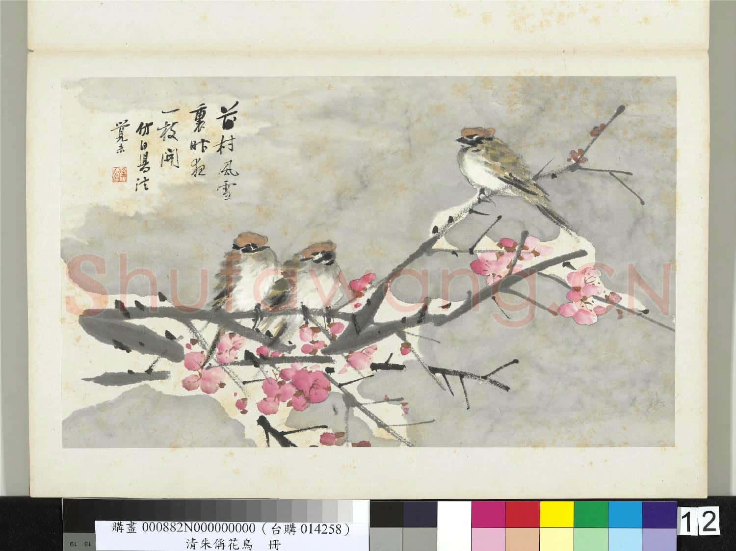 清朱偁花鳥冊 冊 梅花麻雀