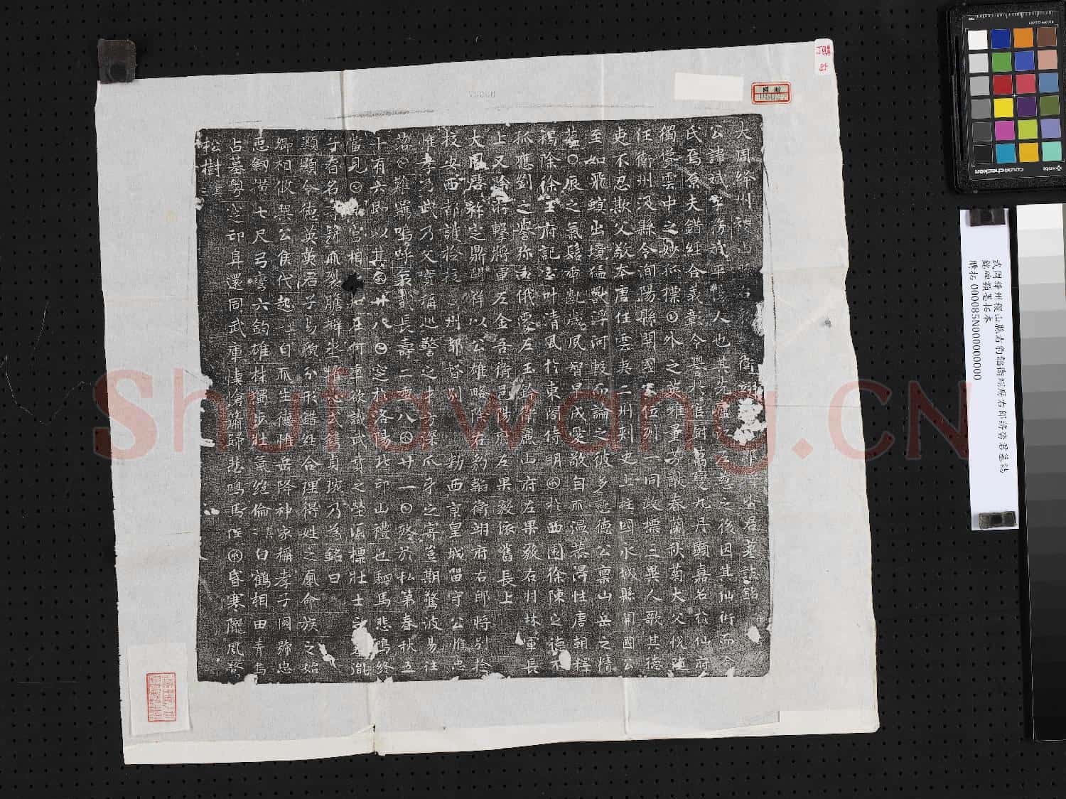 武周絳州稷山縣右豹韜衛翊府右郎將沓君墓誌銘碑額墨拓本