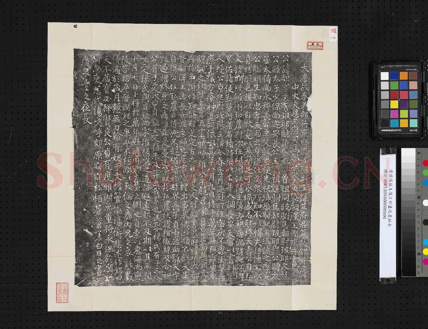 唐涇陽縣主簿王郊墓誌墨拓本