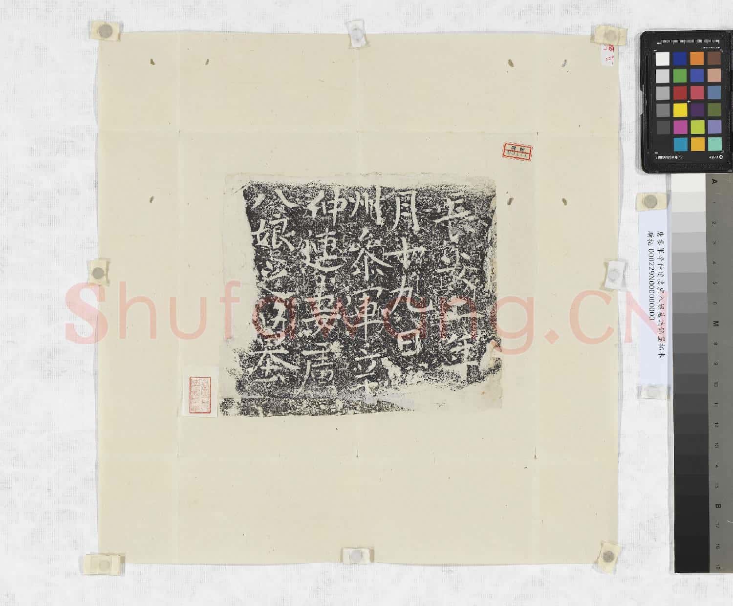 唐參軍辛仲連妻盧八娘墓誌銘墨拓本