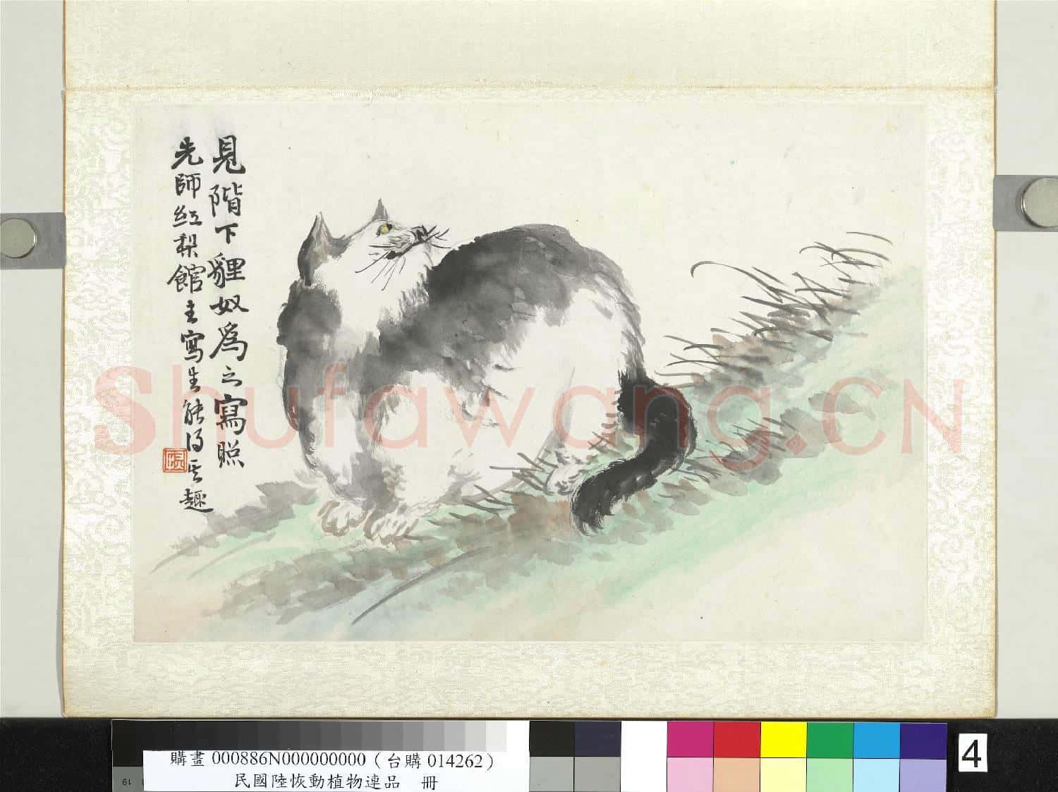 清陸恢動植物逸品冊 冊 狸奴