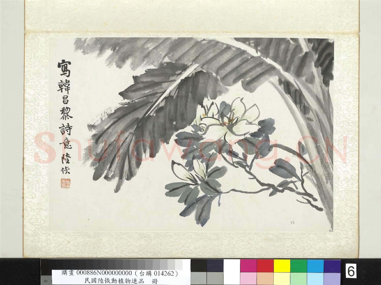 清陸恢動植物逸品冊 冊 芭蕉梔枝