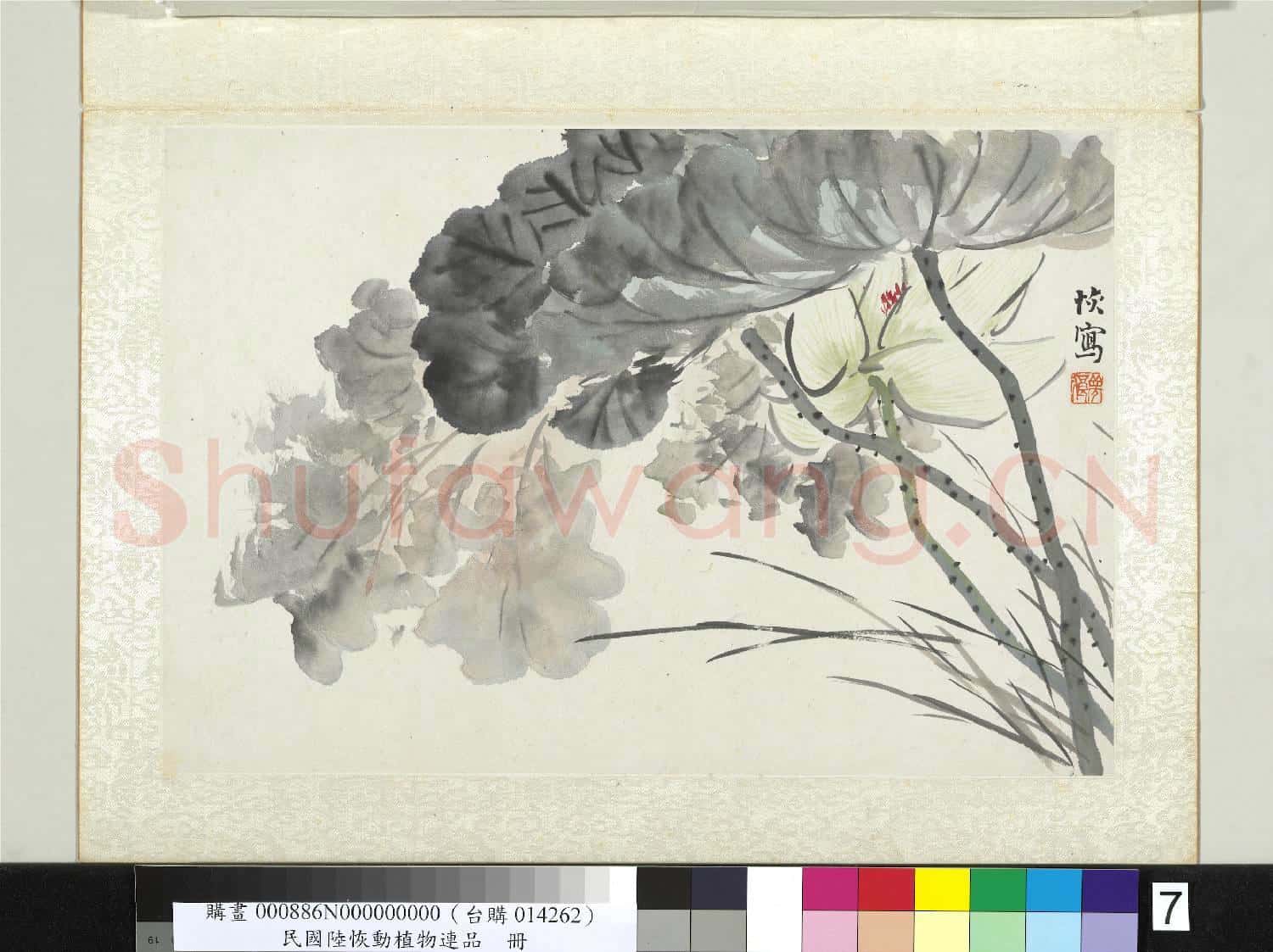 清陸恢動植物逸品冊 冊 荷花