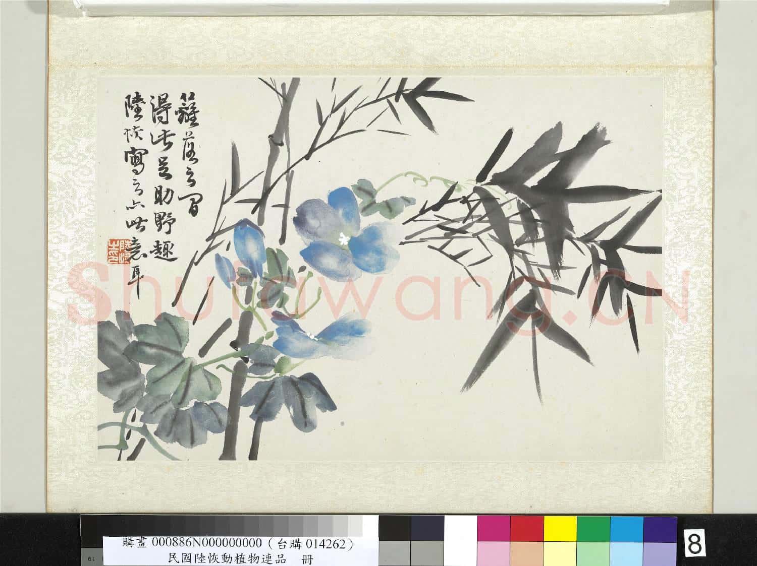清陸恢動植物逸品冊 冊 竹牽牛花