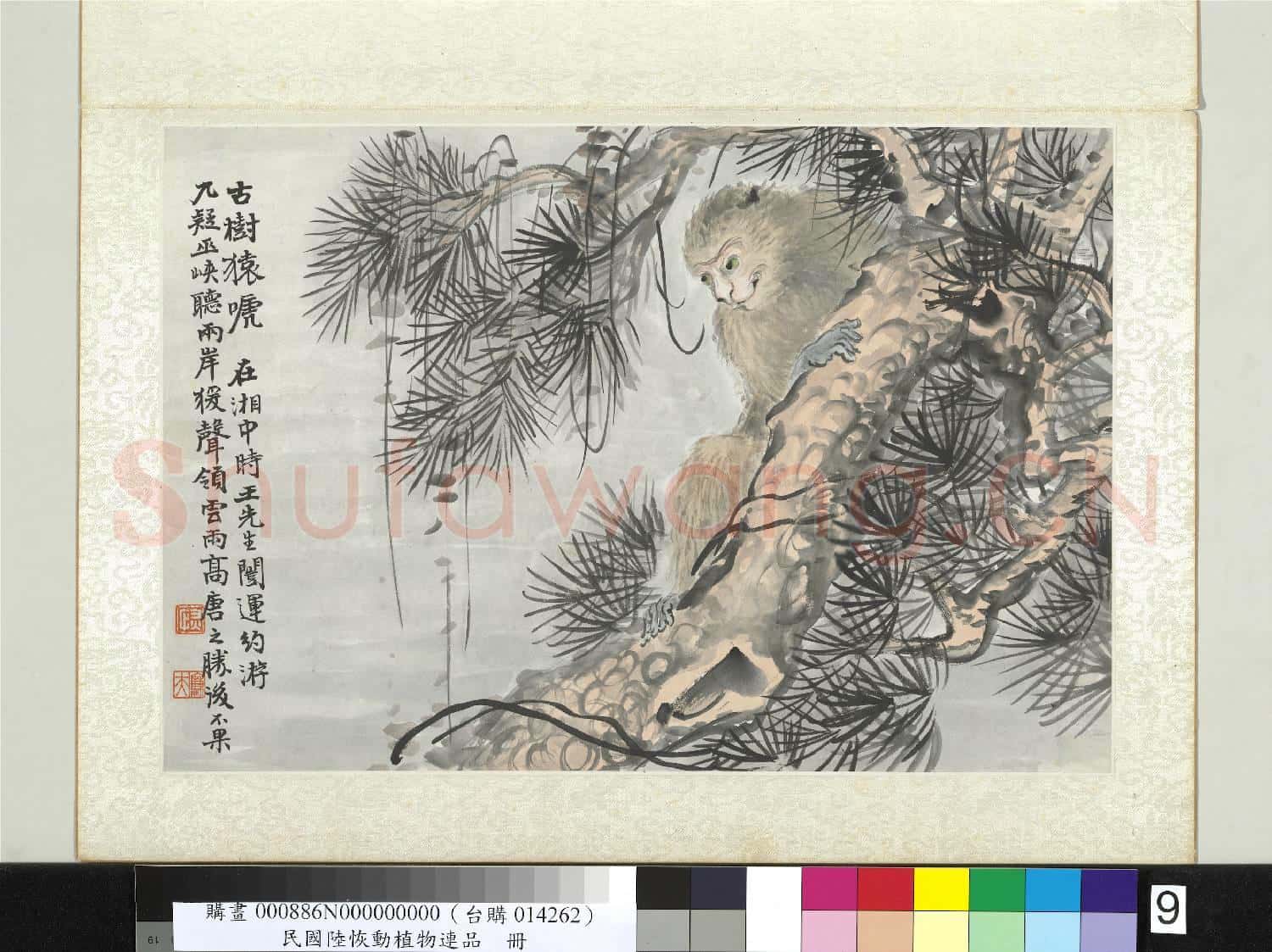 清陸恢動植物逸品冊 冊 古樹猿唬