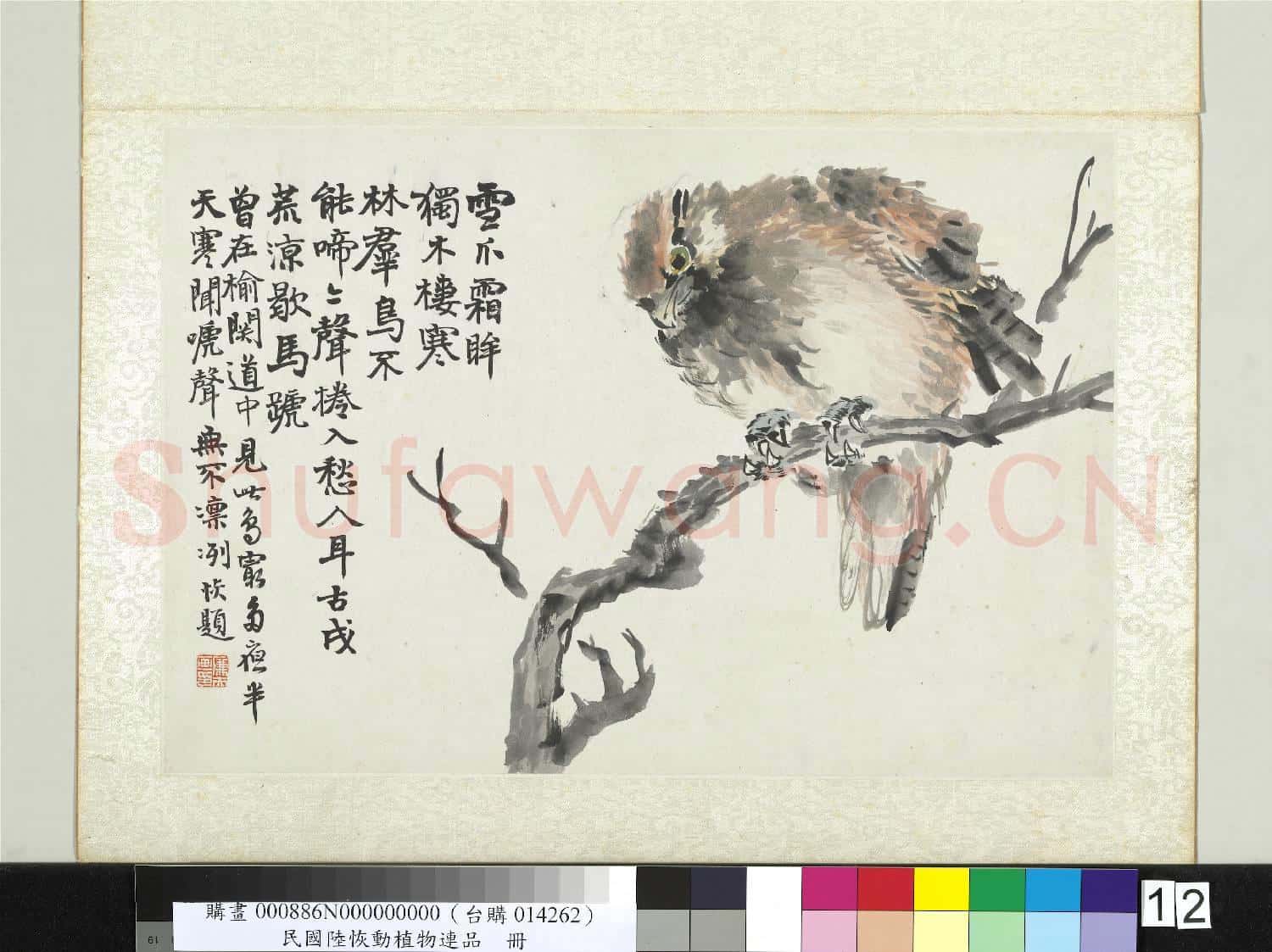 清陸恢動植物逸品冊 冊 鷹