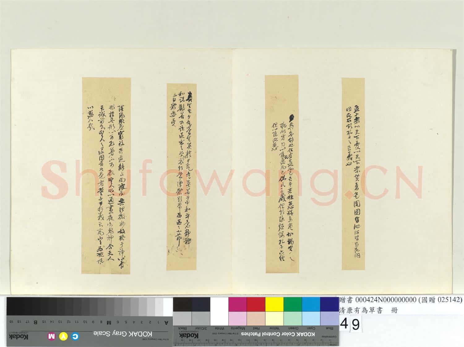 清康有為草書 冊