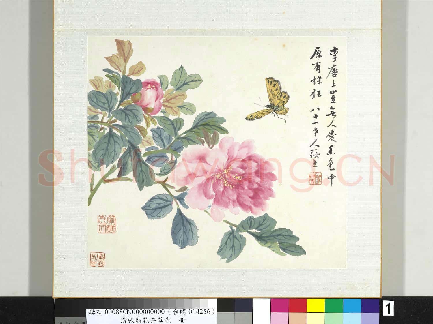 清張熊花卉草蟲冊 冊 (一）