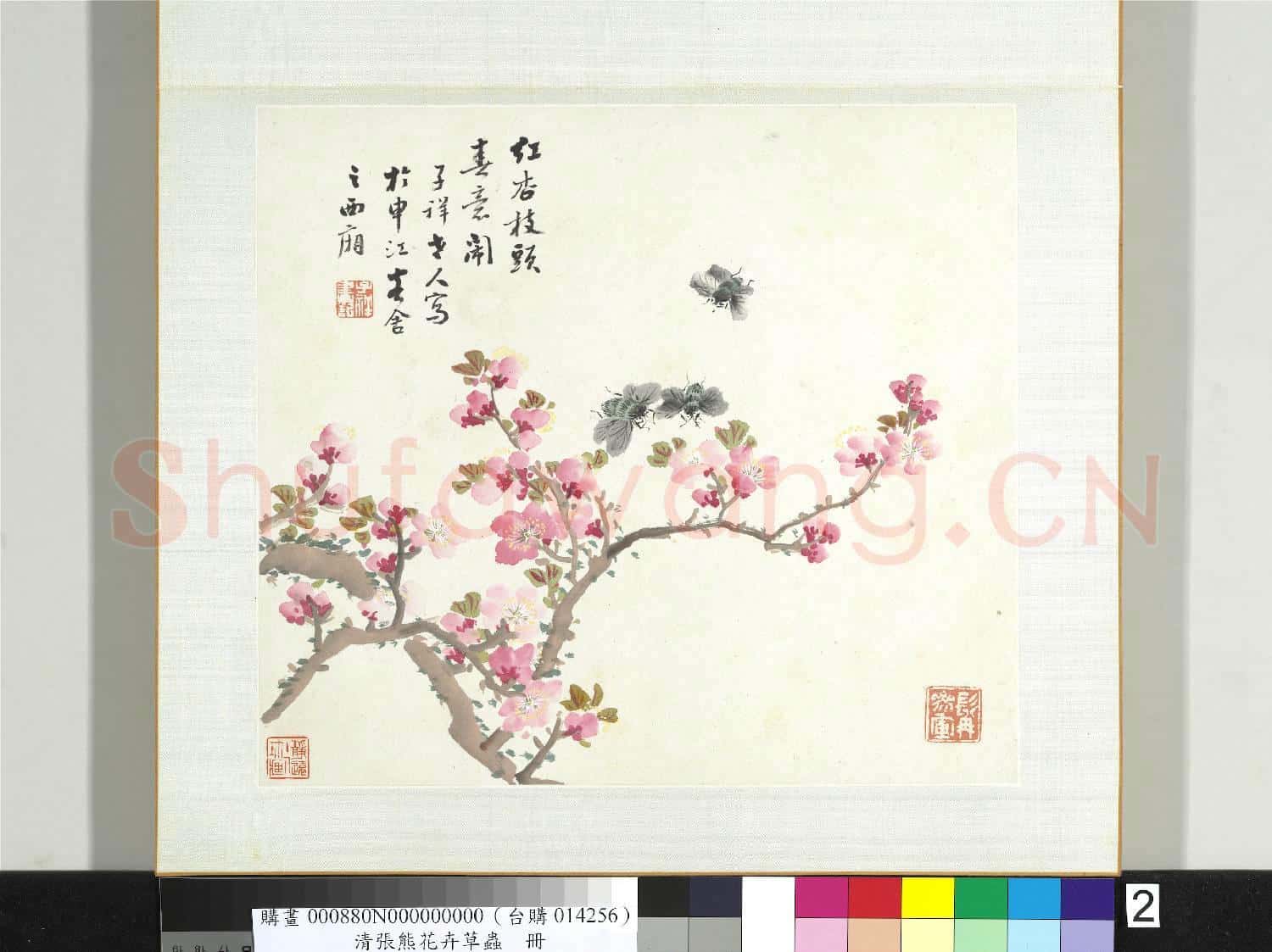 清張熊花卉草蟲冊 冊 (二)