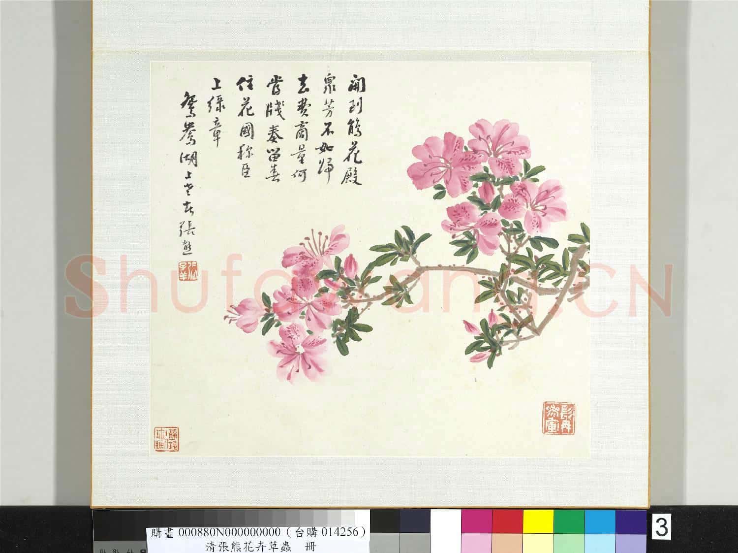 清張熊花卉草蟲冊 冊 (三)