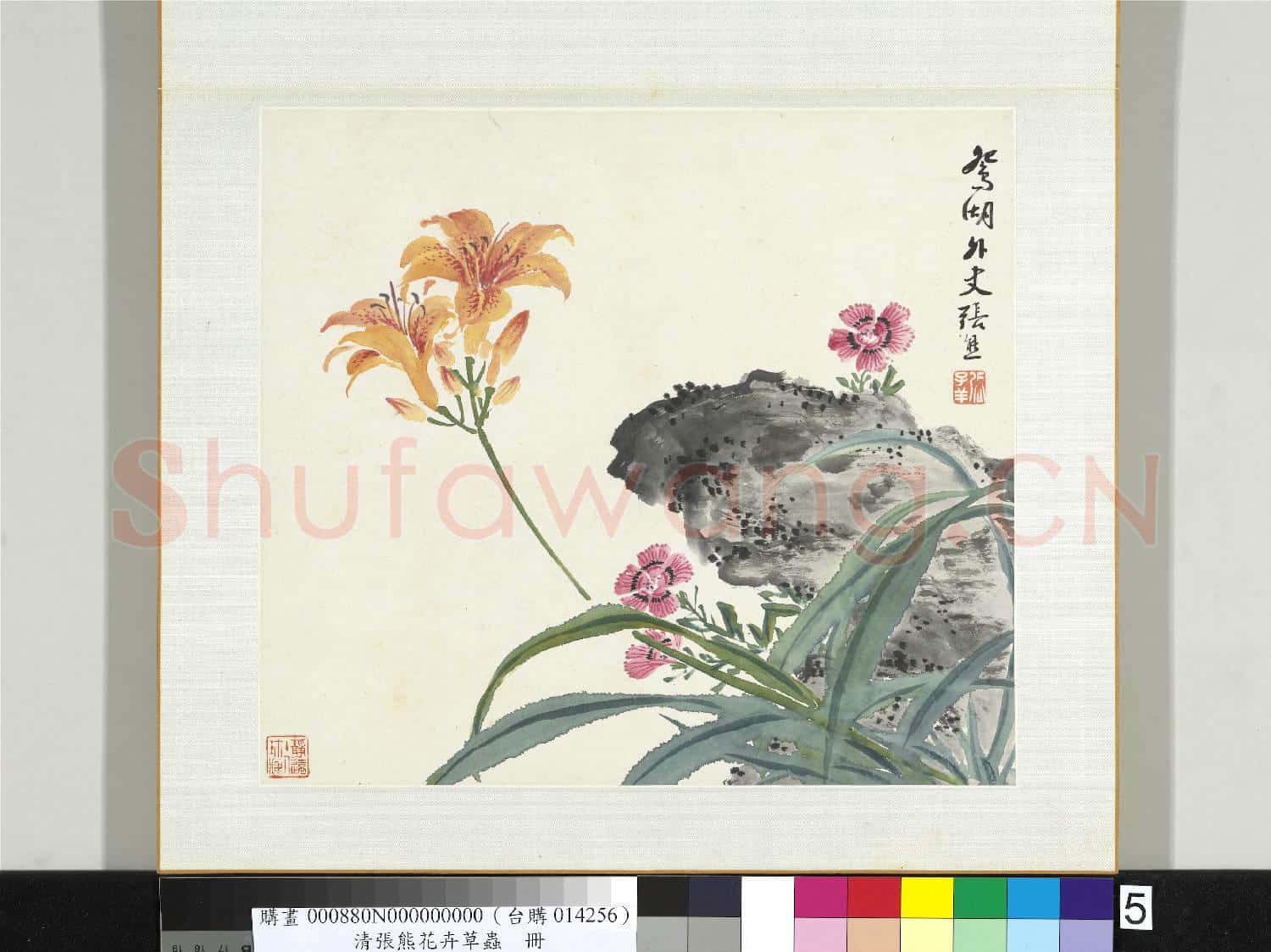 清張熊花卉草蟲冊 冊 (五)