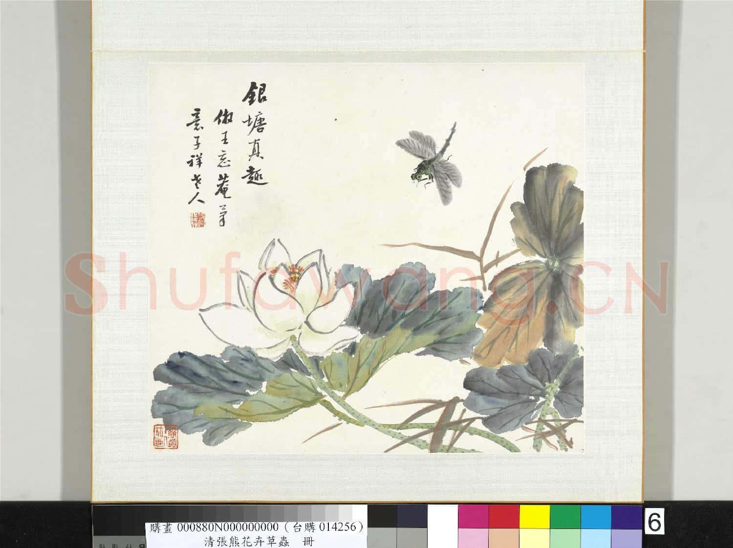 清張熊花卉草蟲冊 冊 (六)