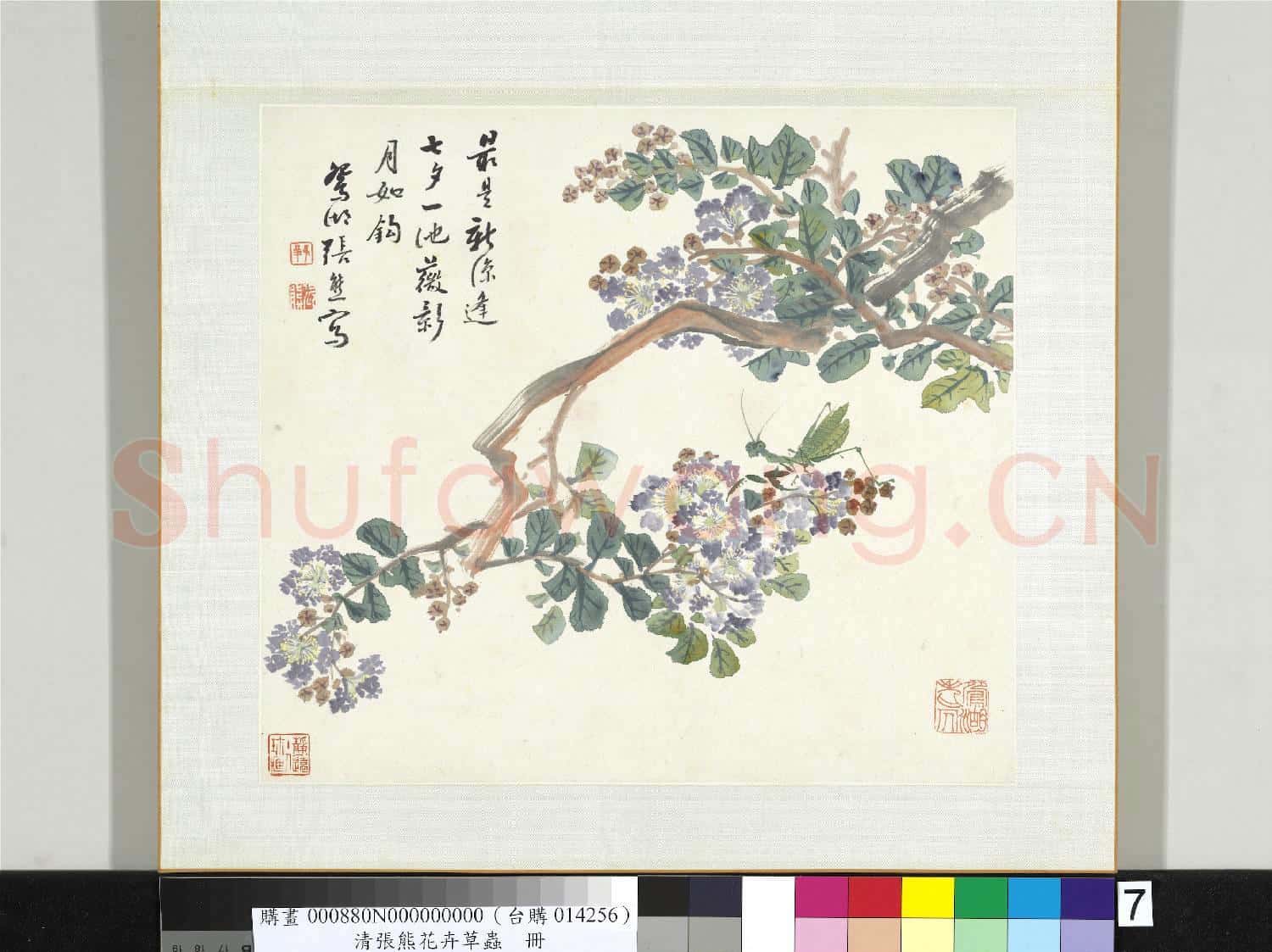 清張熊花卉草蟲冊 冊 (七）