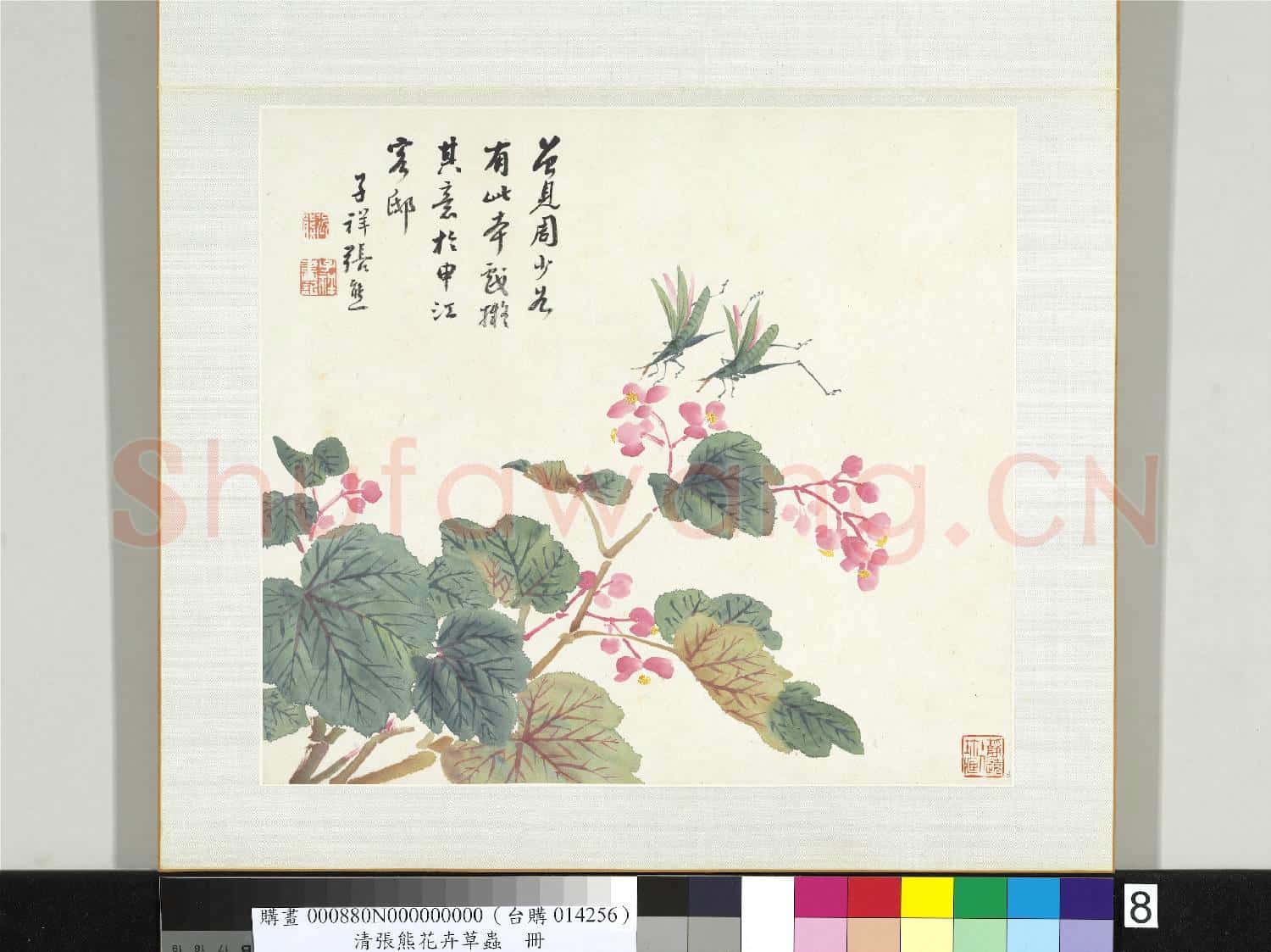 清張熊花卉草蟲冊 冊 (八)