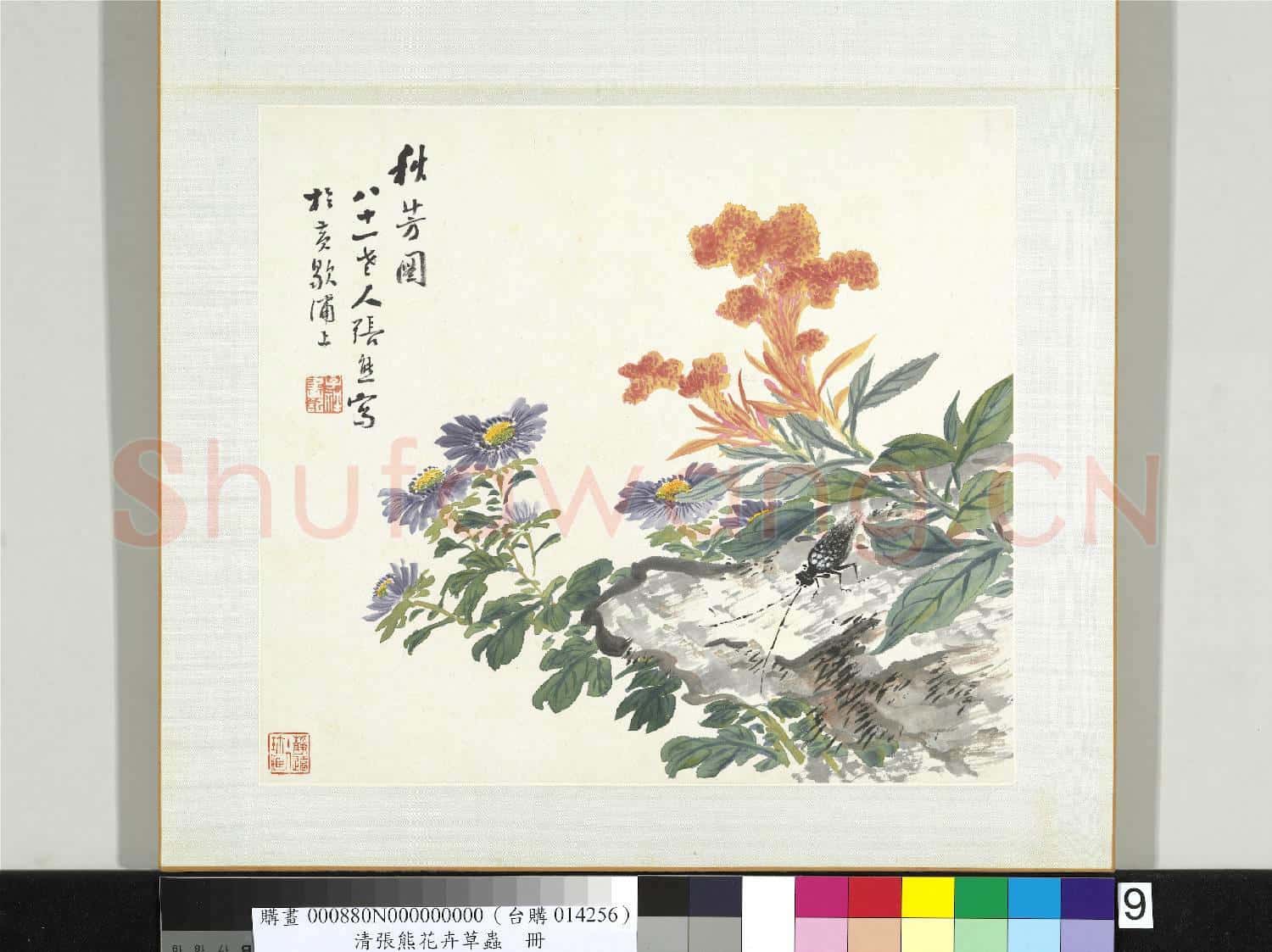 清張熊花卉草蟲冊 冊 (九)