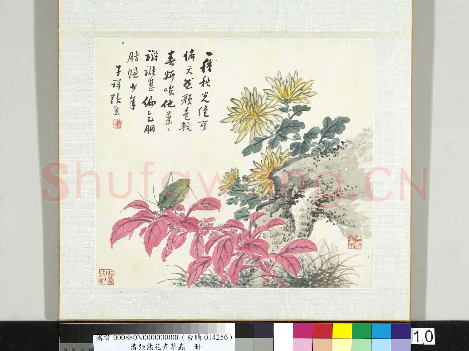 清張熊花卉草蟲冊 冊 (十)