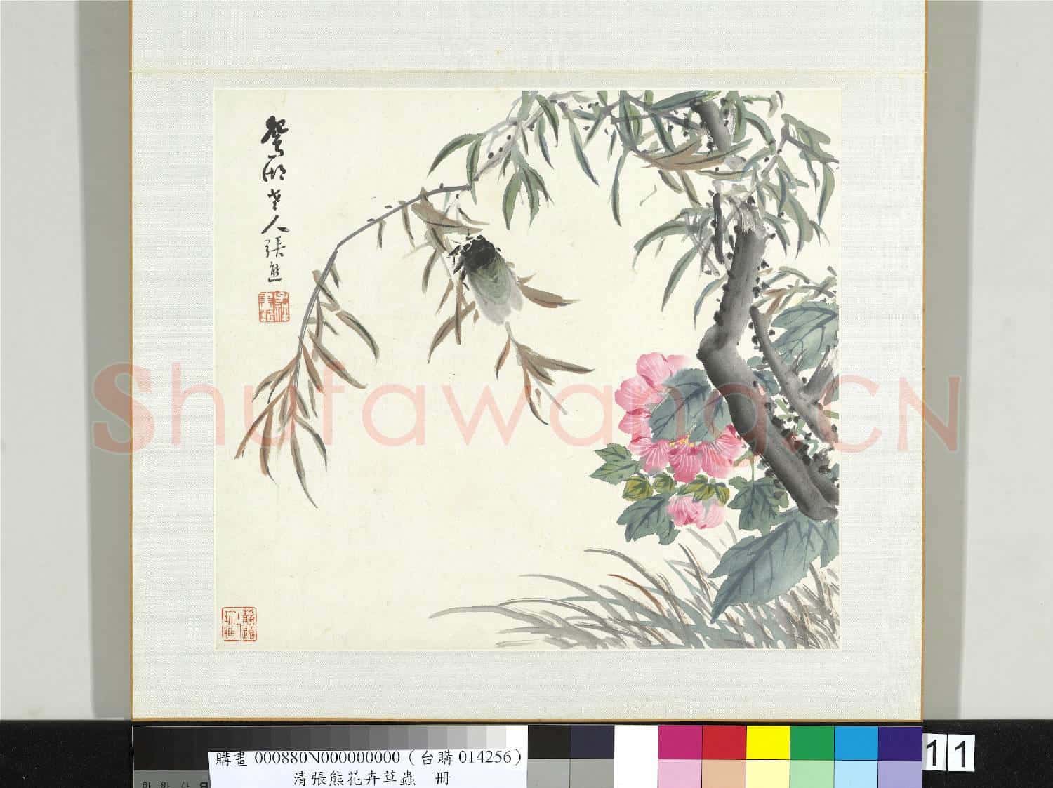 清張熊花卉草蟲冊 冊 (十一)