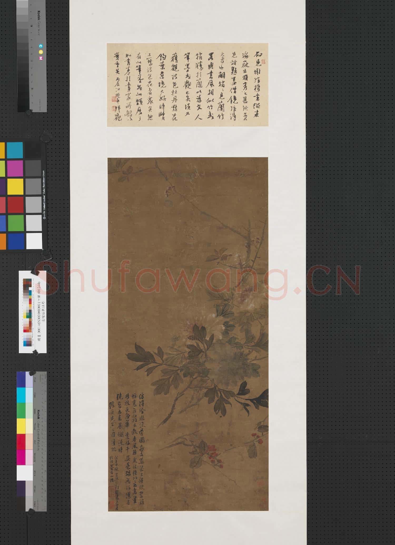 清謝琯樵牡丹 軸
