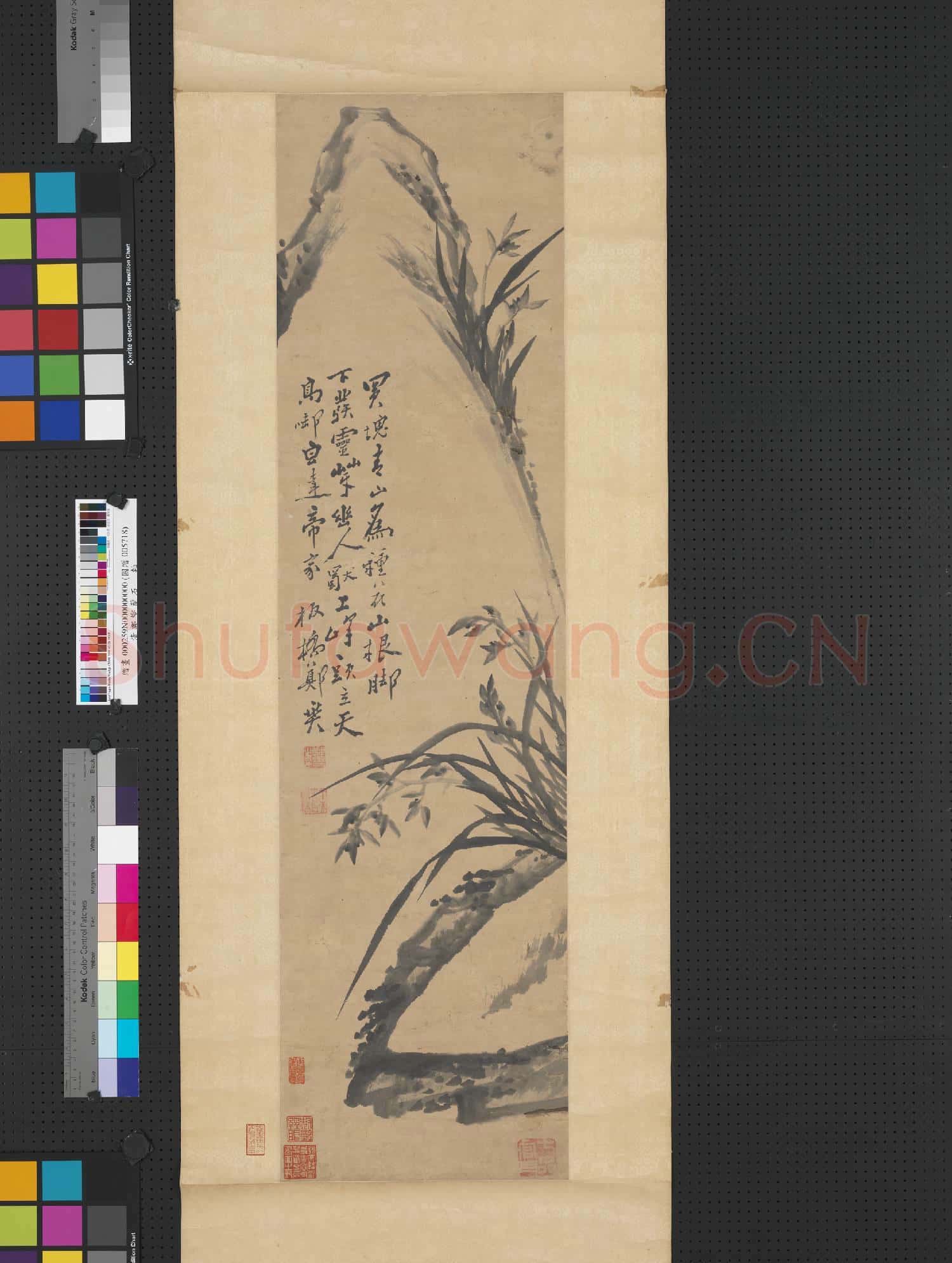 清鄭燮蘭石 軸