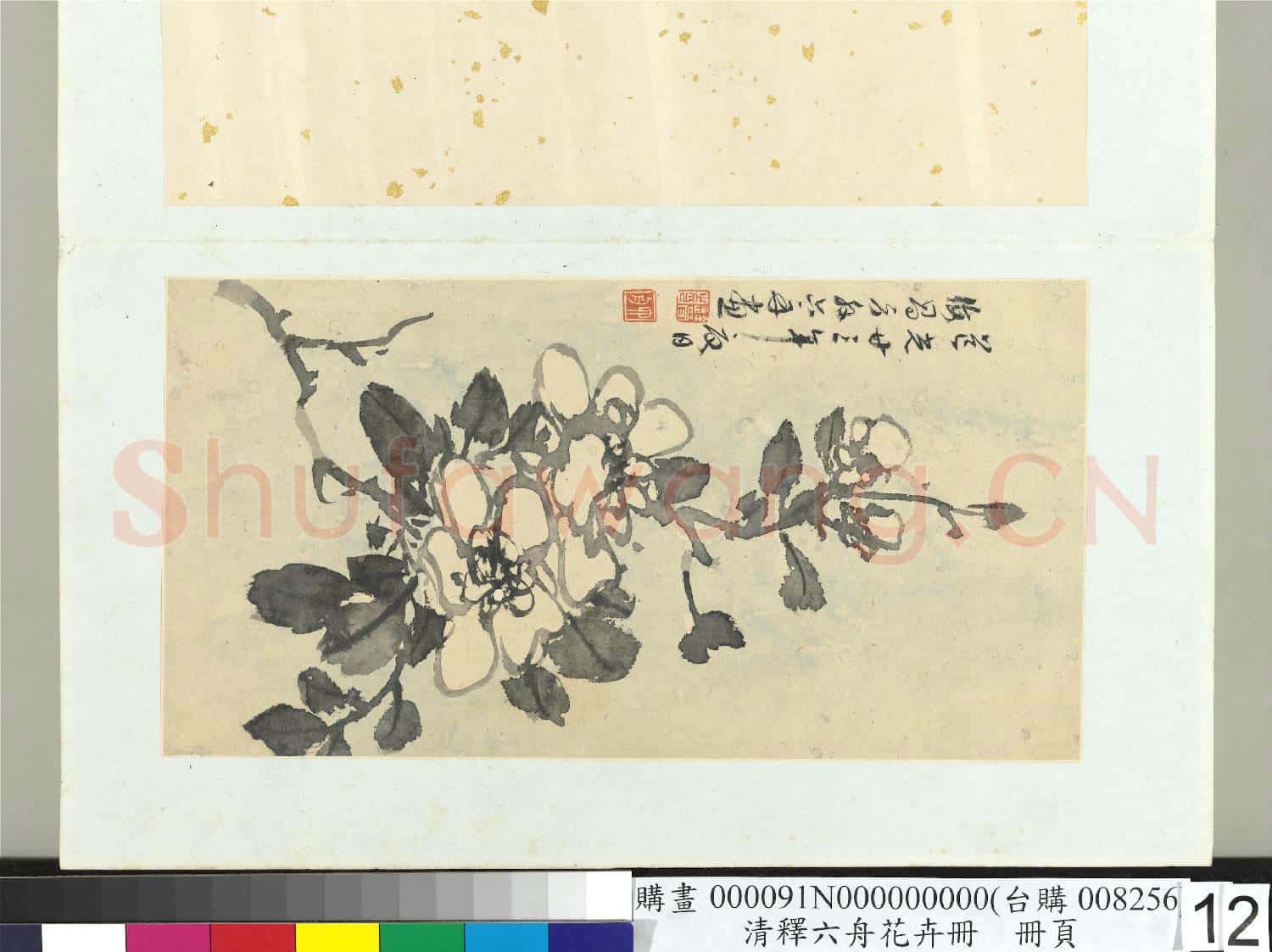 清釋達受花卉 冊 十二