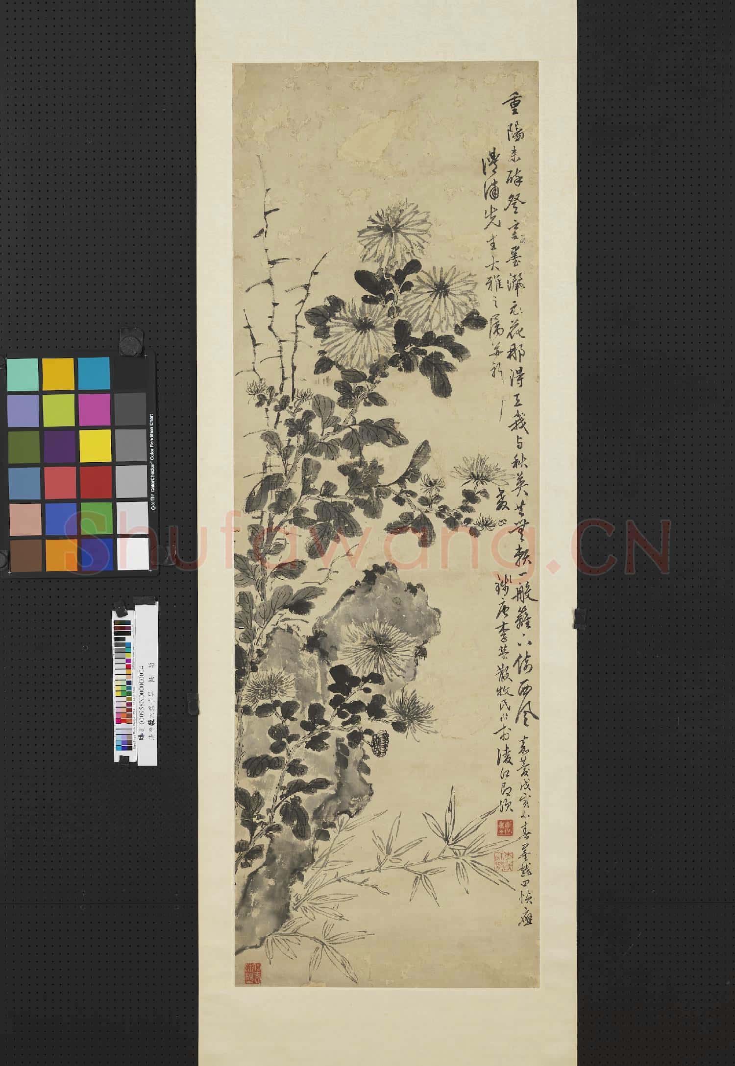 清李滎四君子屏 軸 菊