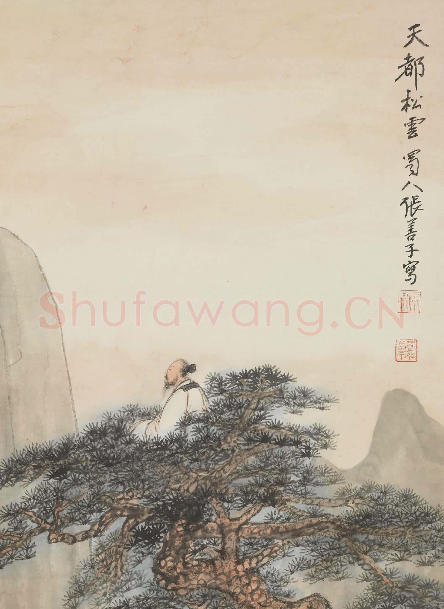 民國張善孖松樹老人 軸