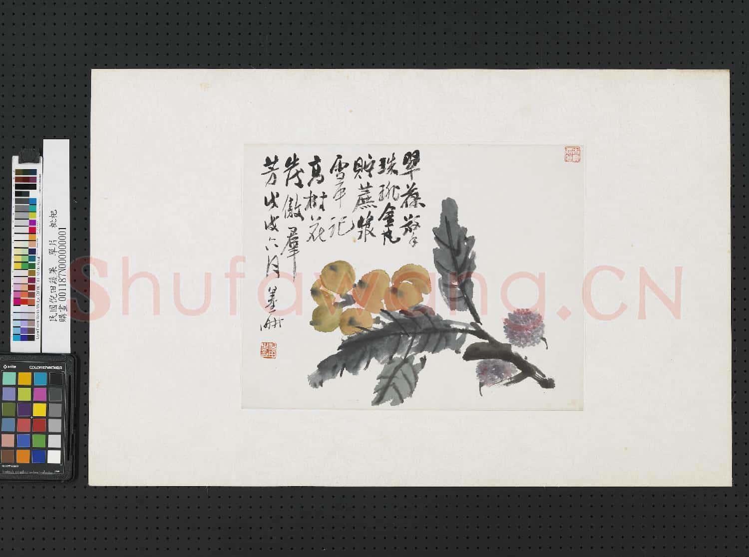 清倪田蔬果 單片 枇杷