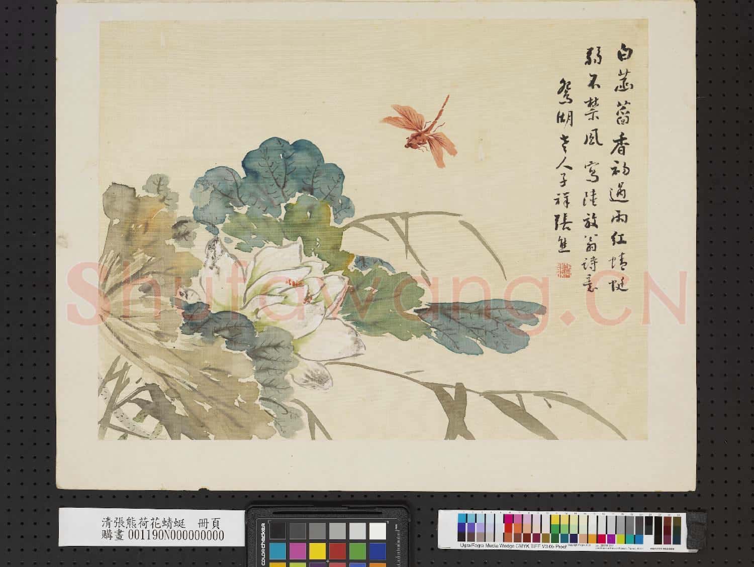 清張熊荷花蜻蜓 冊頁