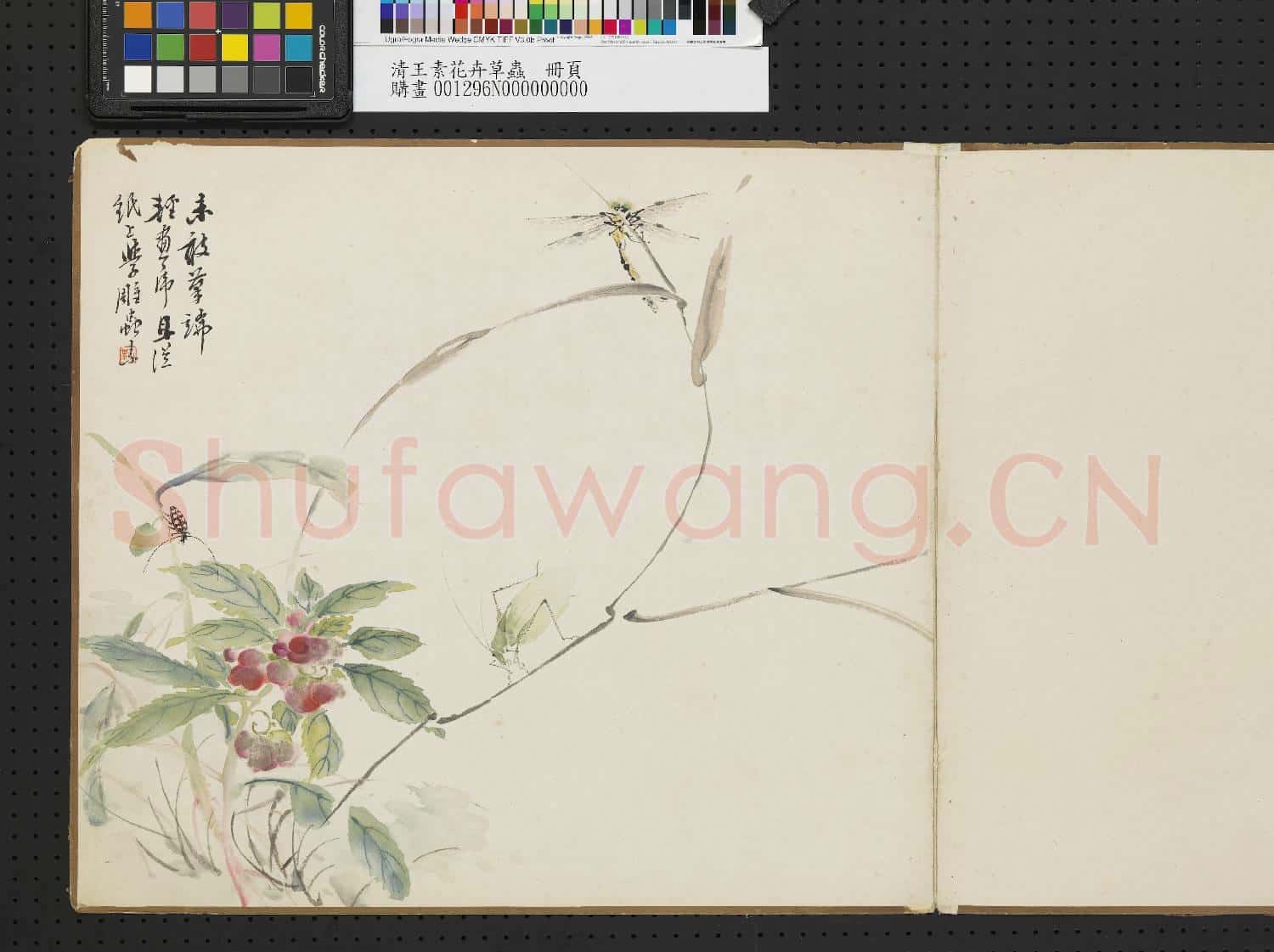 清王素花卉草蟲 冊頁
