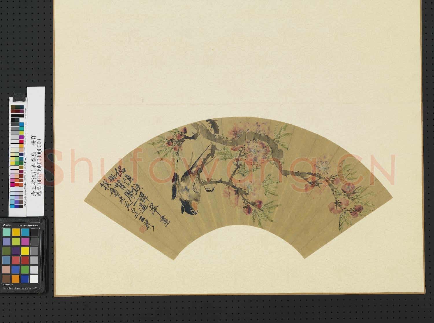 清王禮桃花春燕扇 冊頁