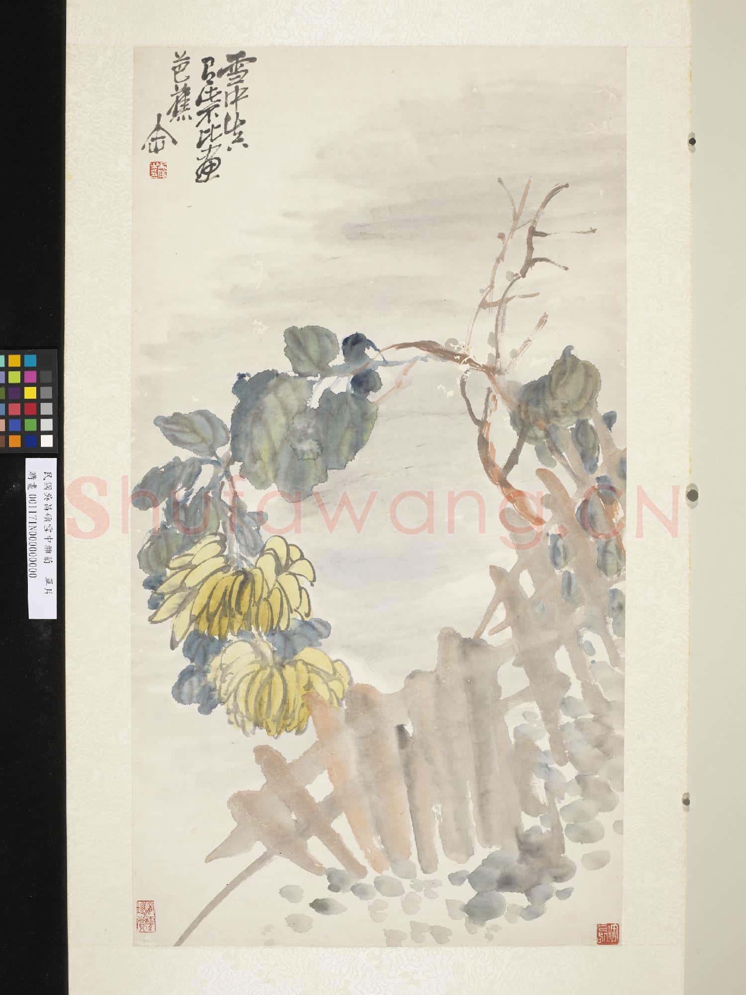 民國吳昌碩雪中雛菊 單片