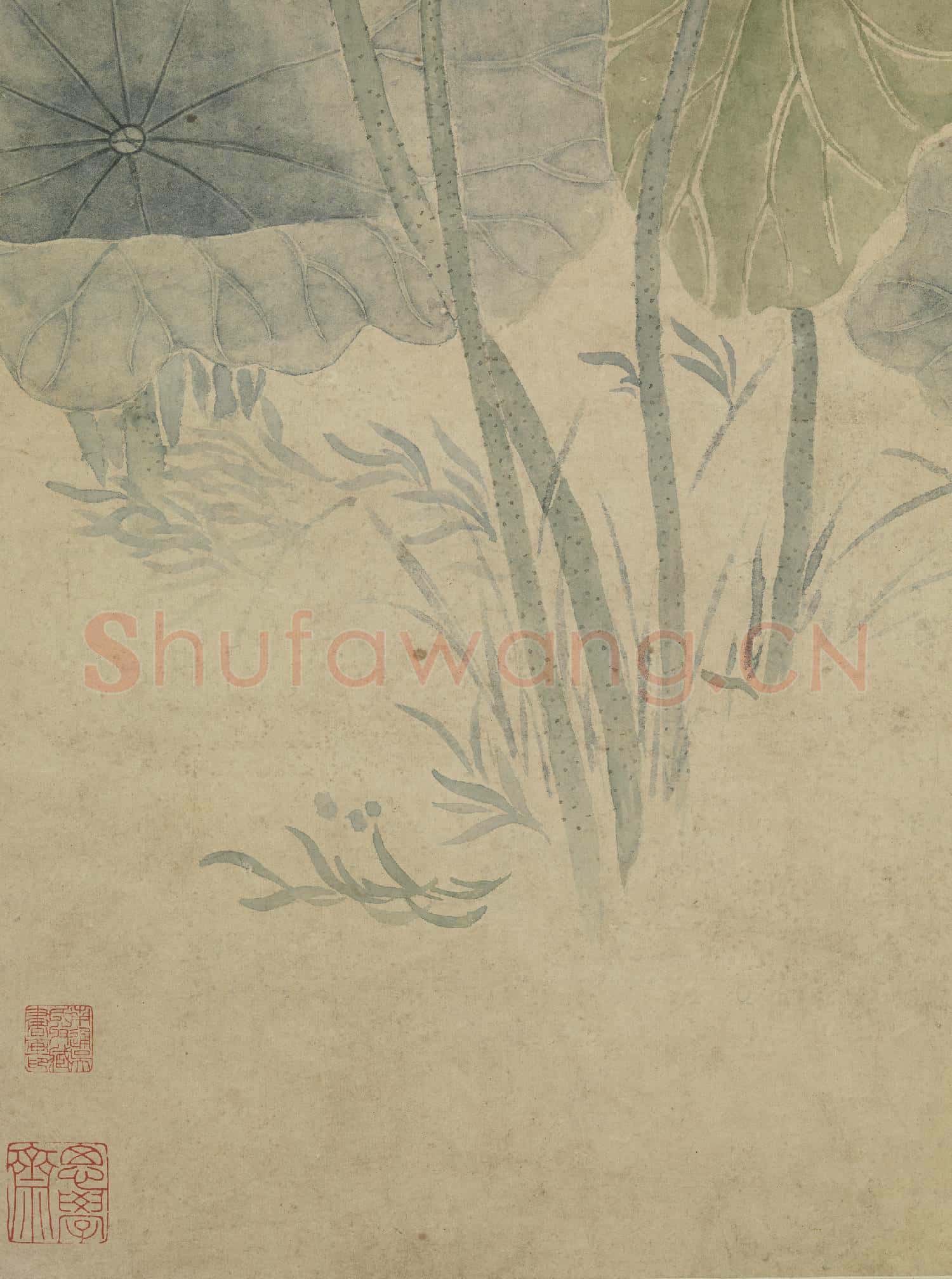 清余省荷花   軸