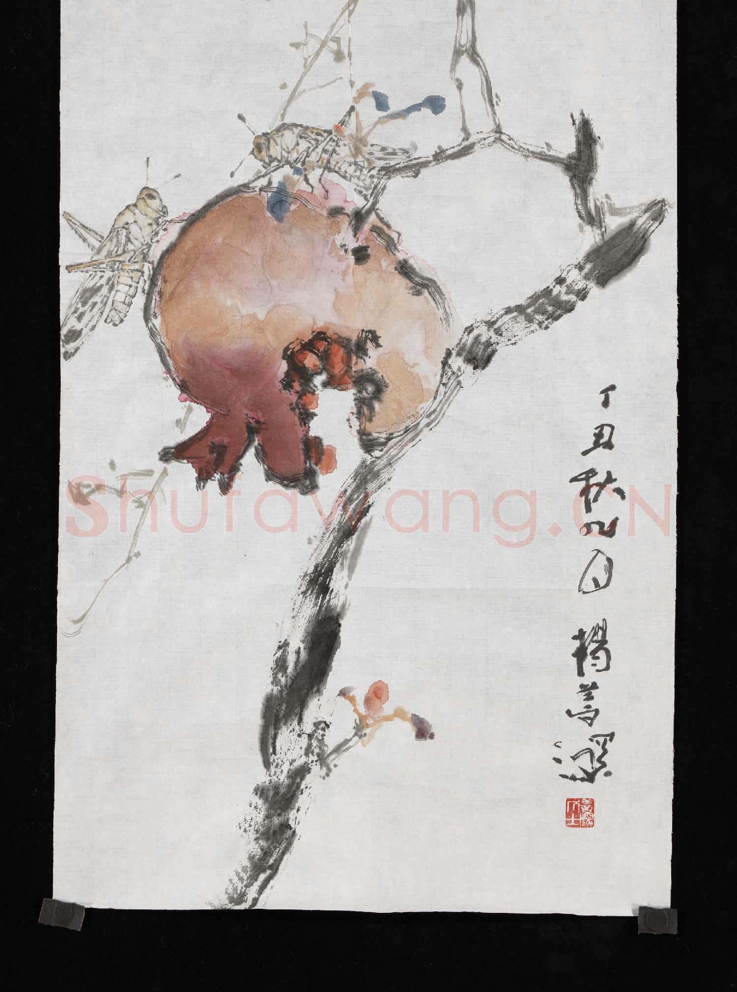 民國楊善深石榴 未裱