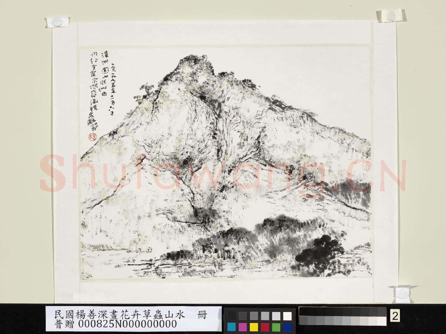 民國楊善深畫花卉草蟲山水 漳州圓山水仙田