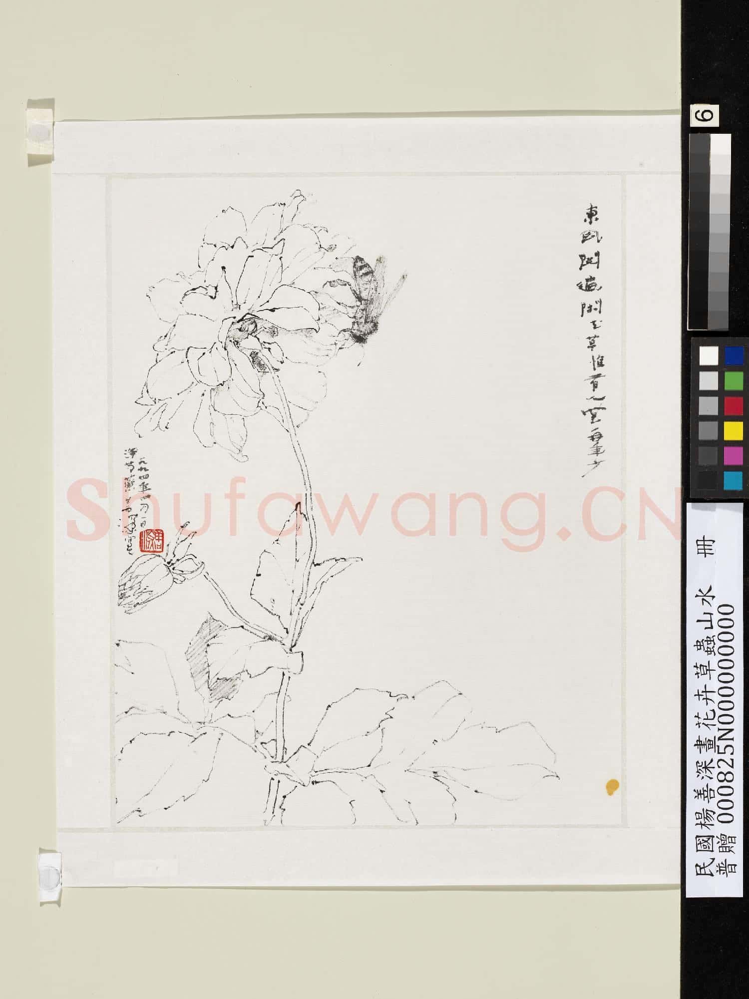 民國楊善深畫花卉草蟲山水 洋芍藥