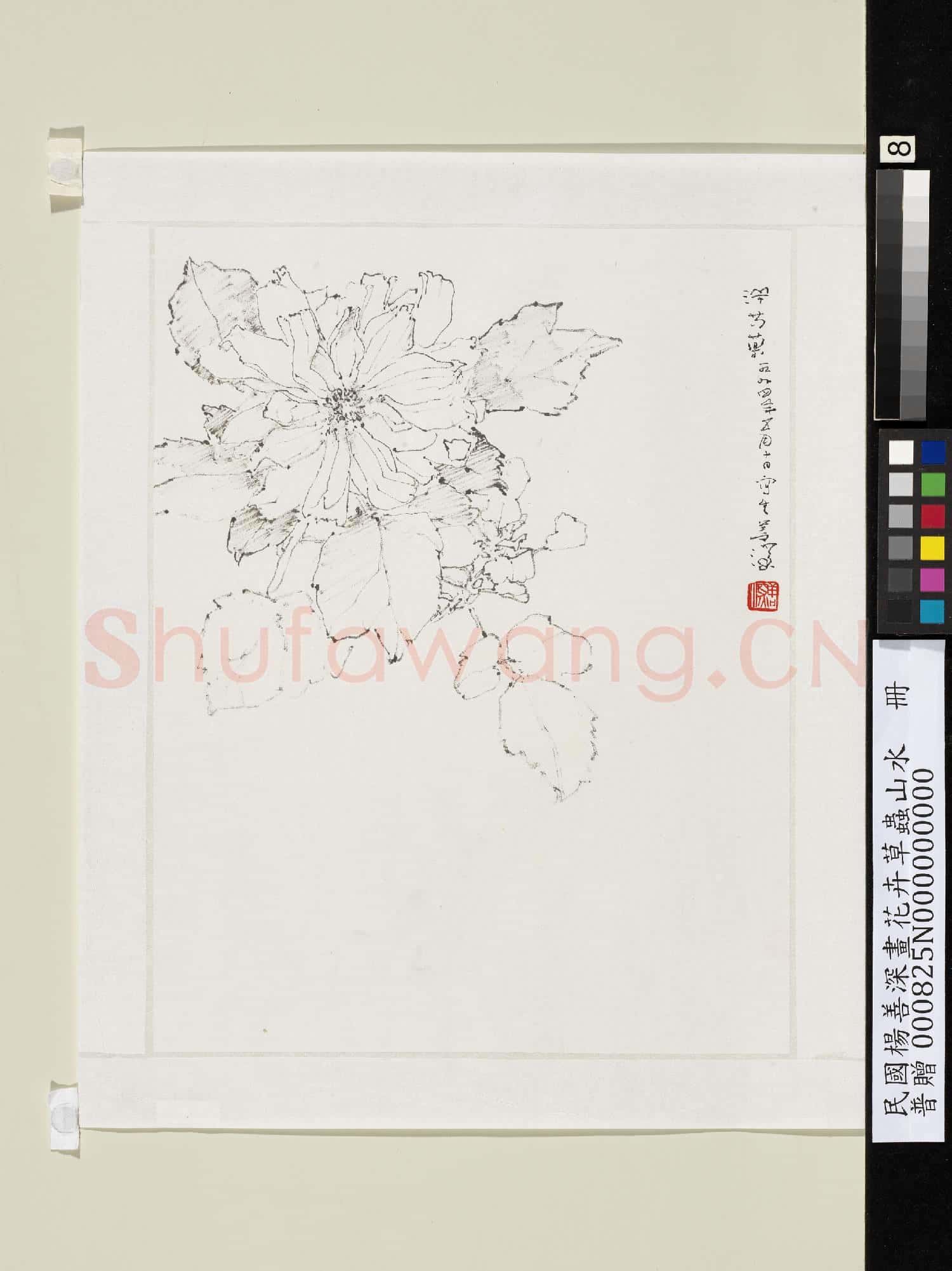民國楊善深畫花卉草蟲山水 洋芍藥
