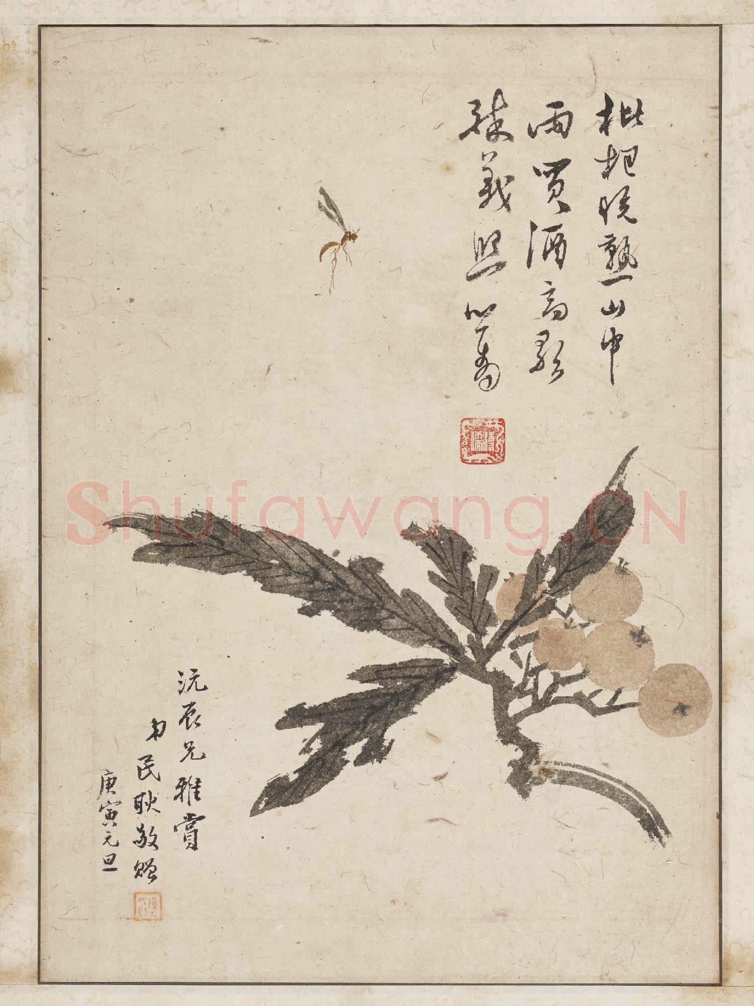 民國溥心畬枇杷蜜蜂圖