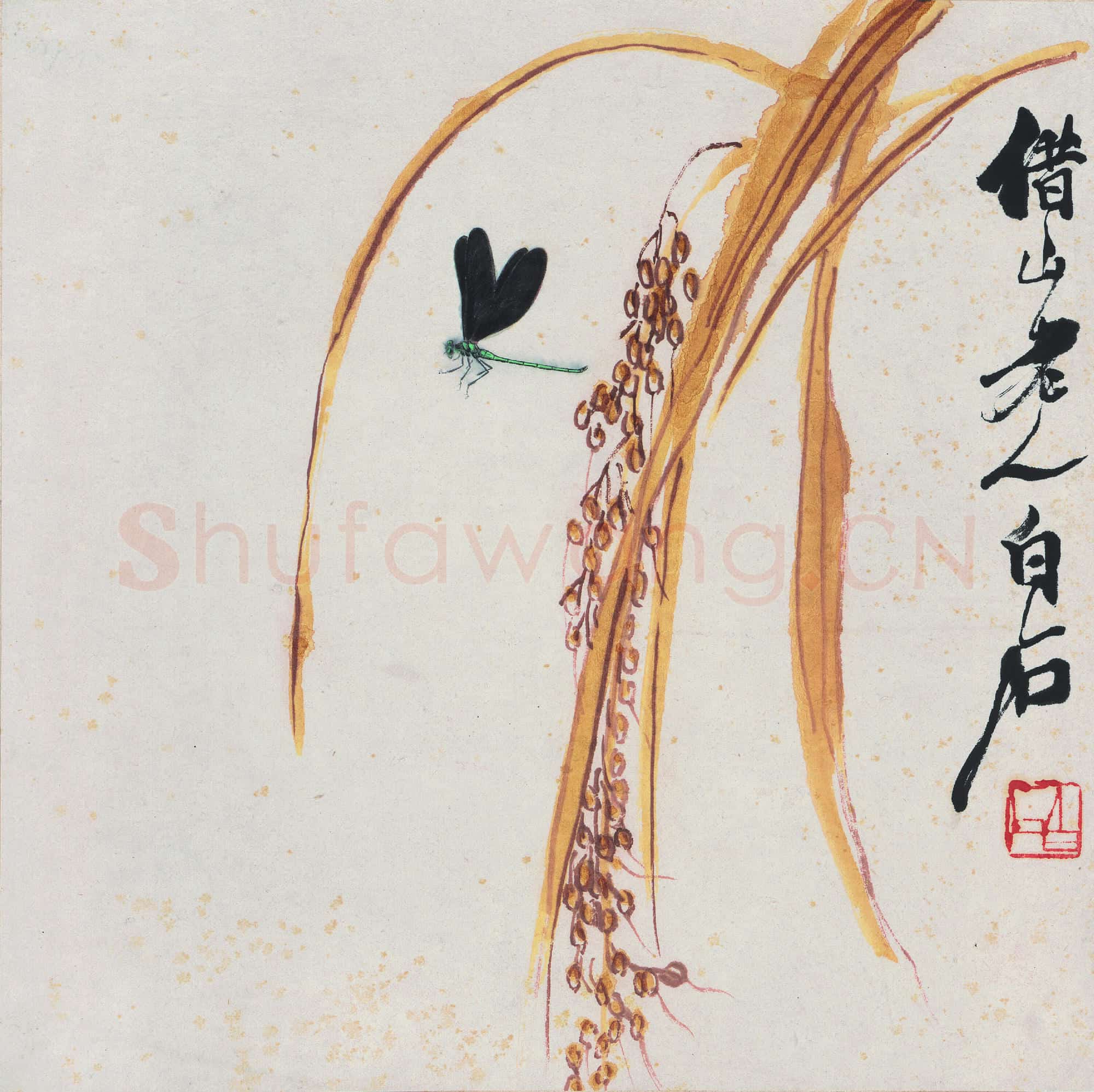齐白石 谷穗蜻蜓图