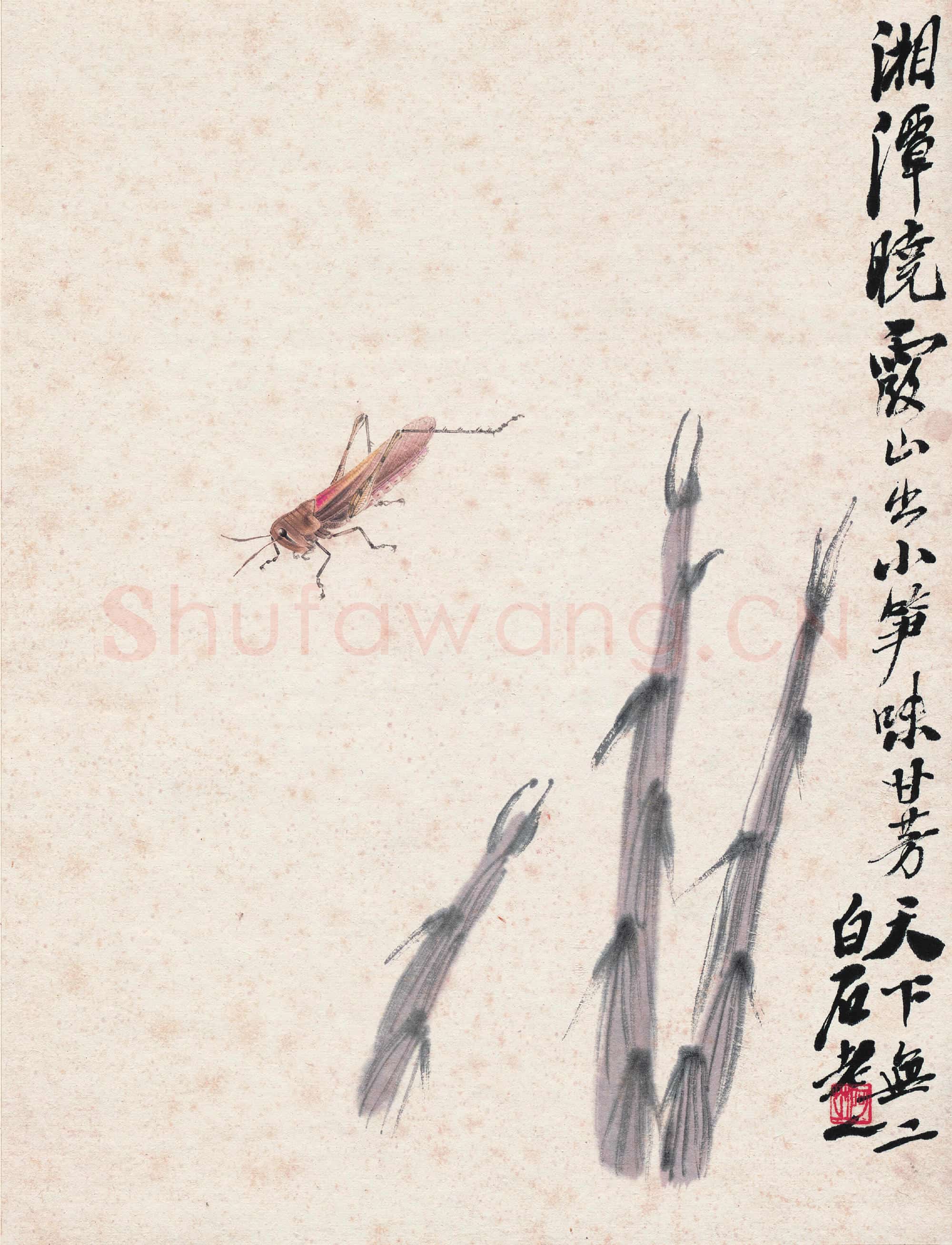 齐白石 竹笋蚂蚱
