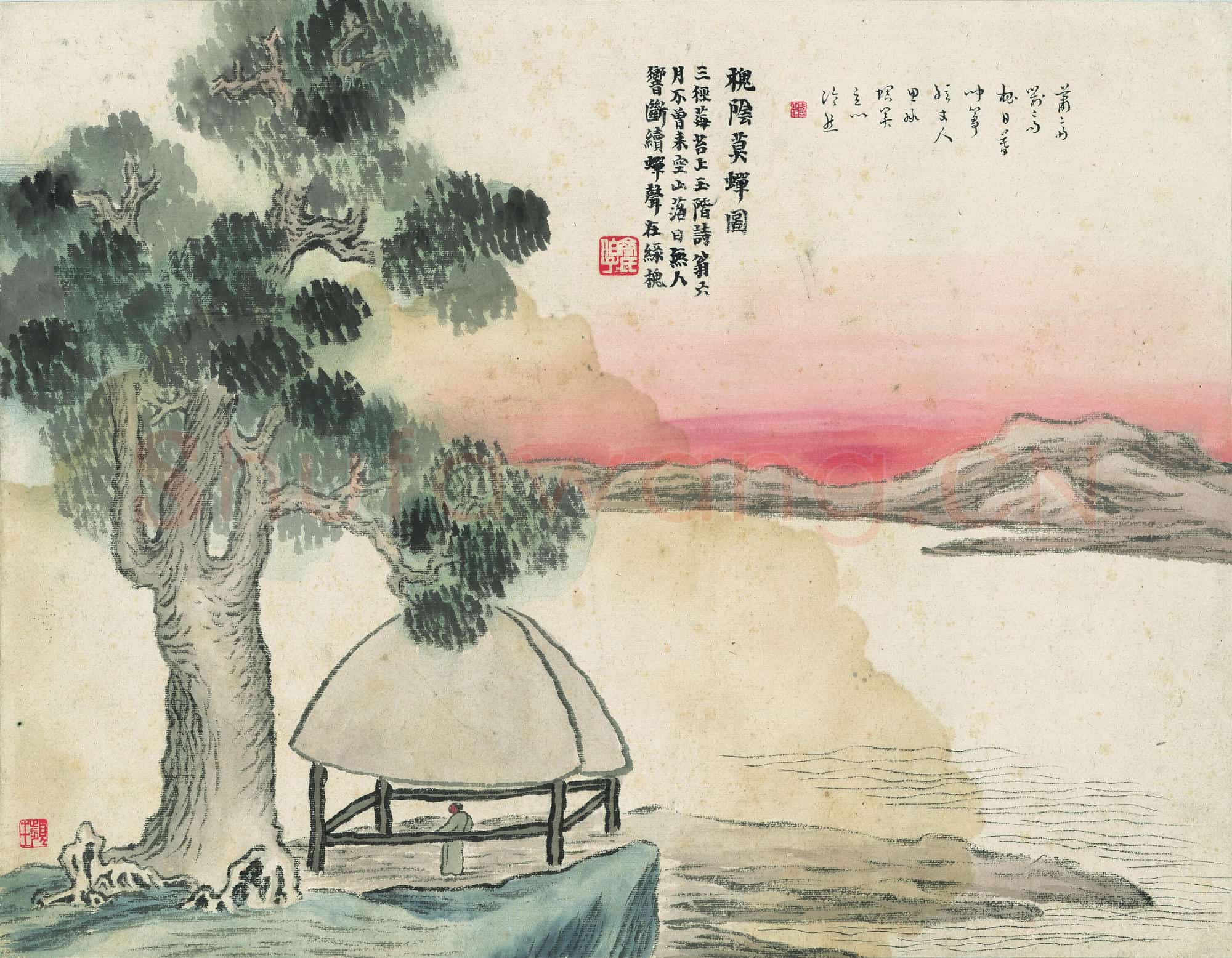 齐白石 槐荫莫蝉图