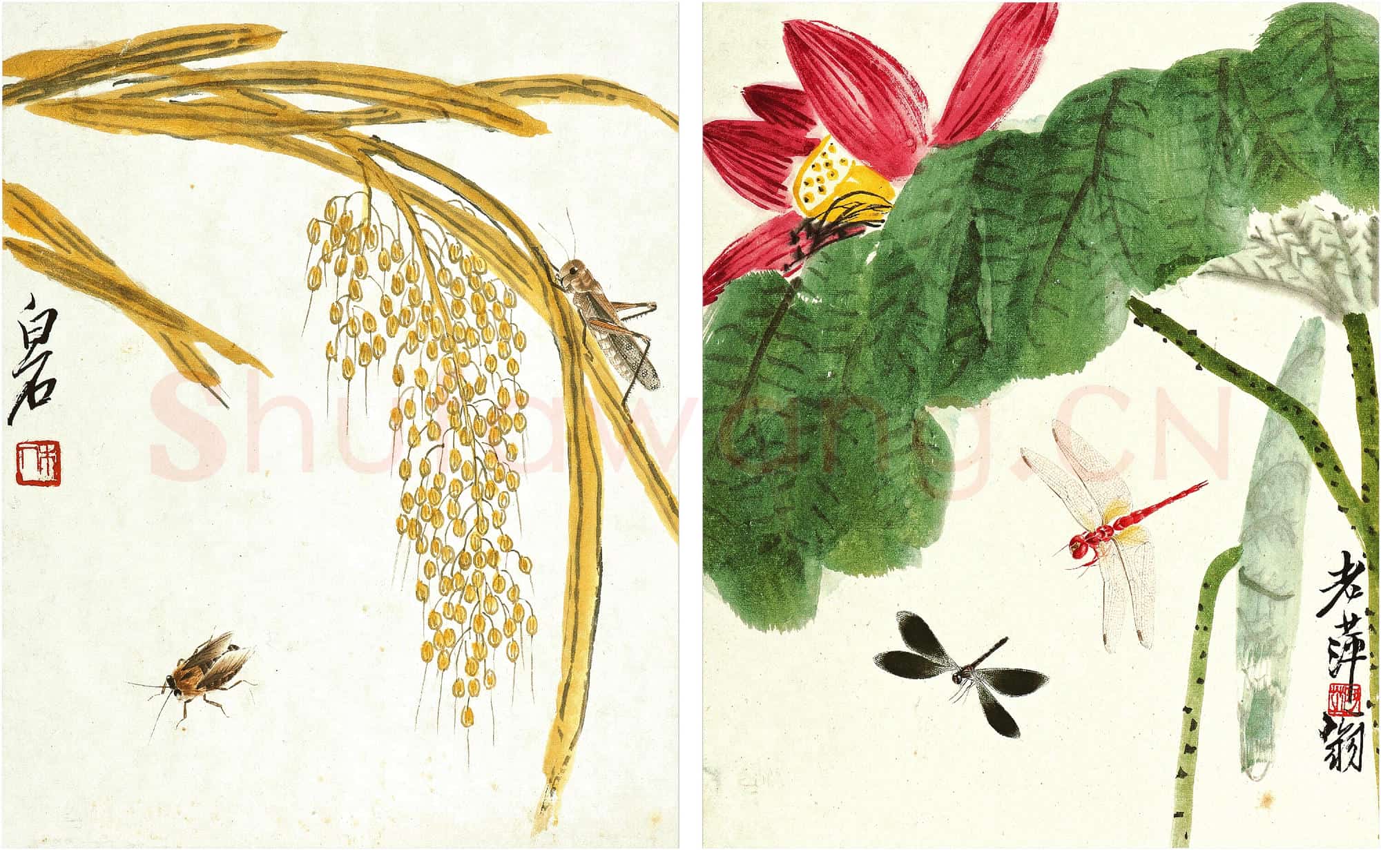 近现代 齐白石国画 稻谷加荷叶