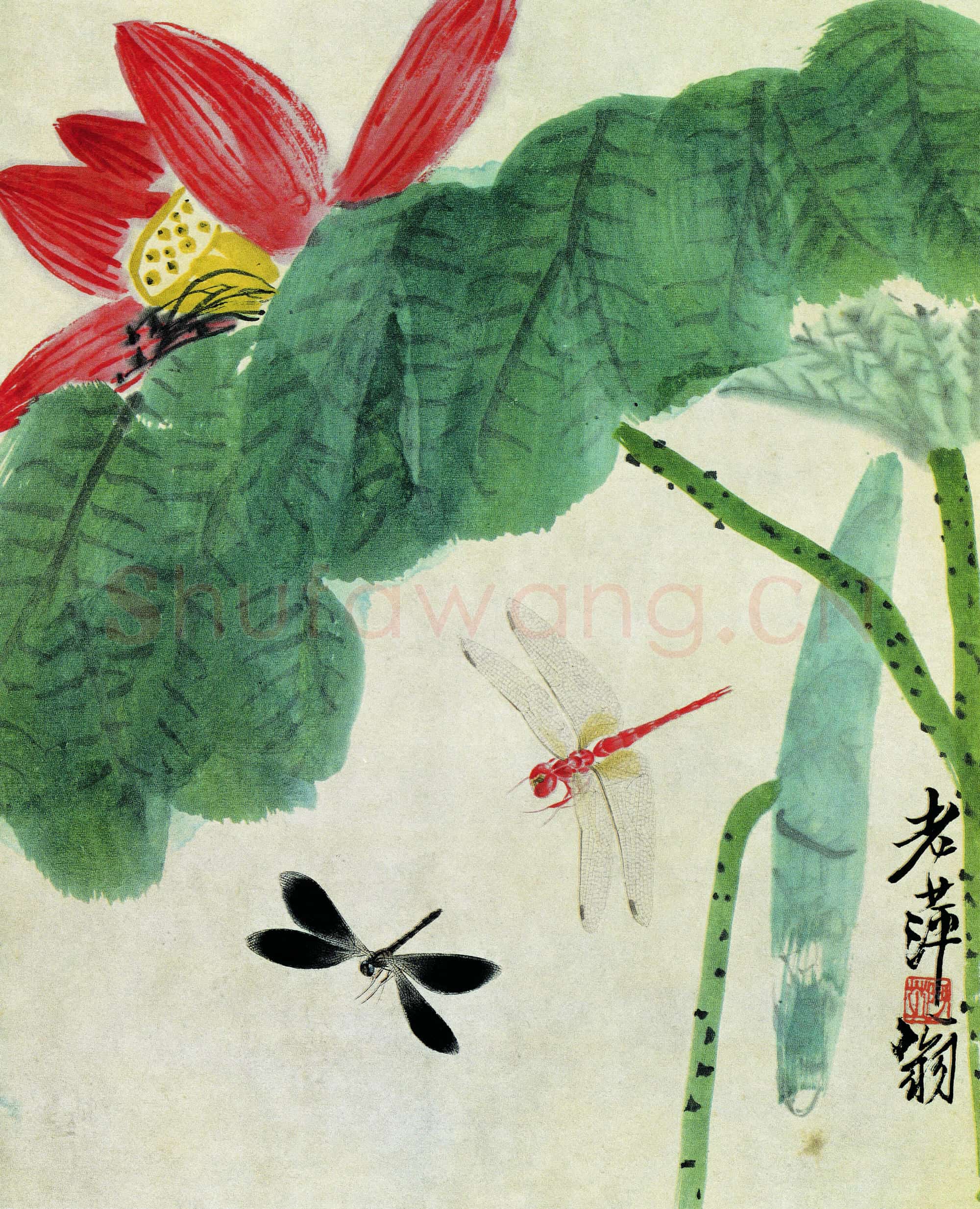 近现代 齐白石国画 荷花蜻蜓