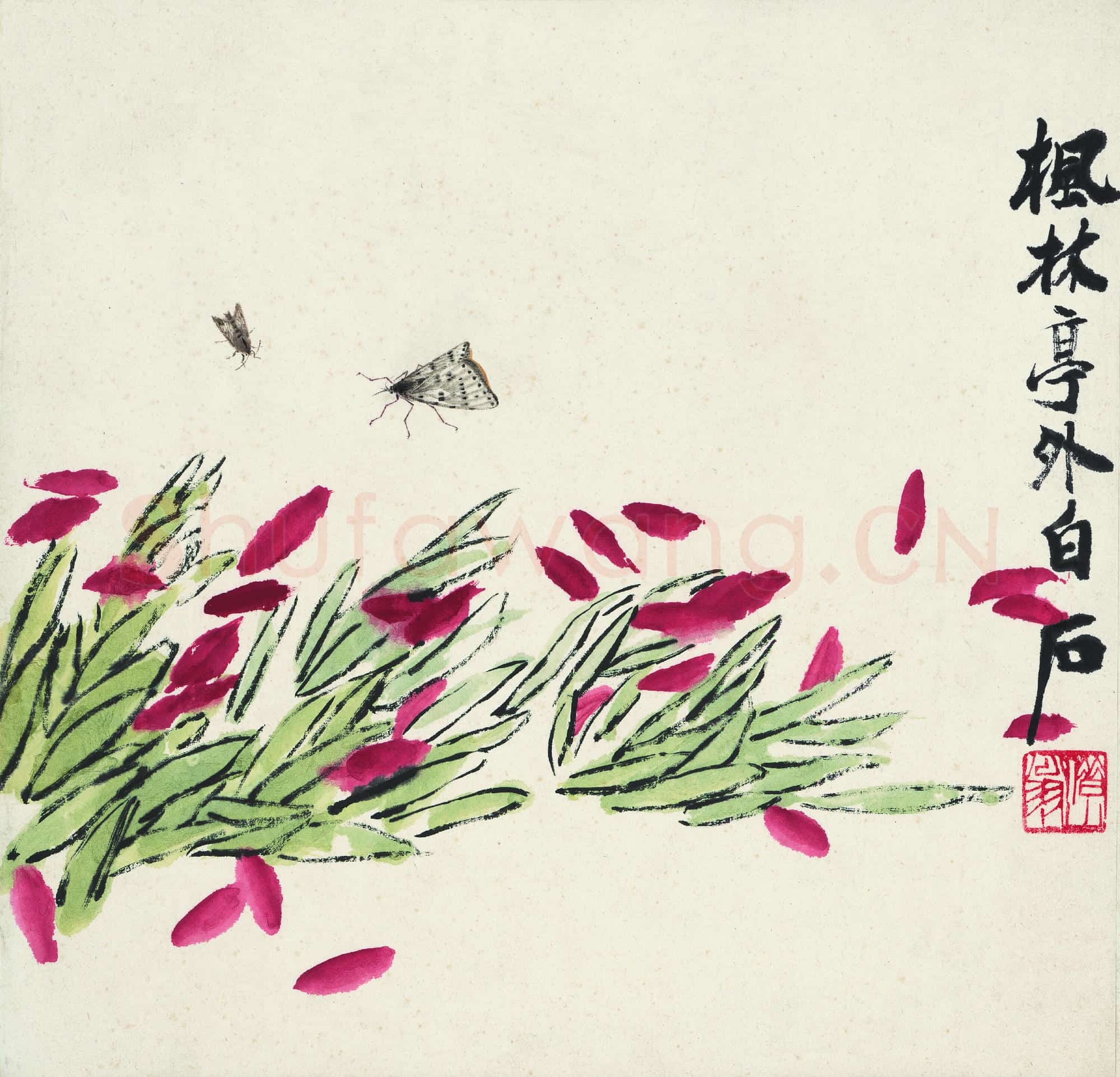 近现代 齐白石国画 花卉飞蛾图