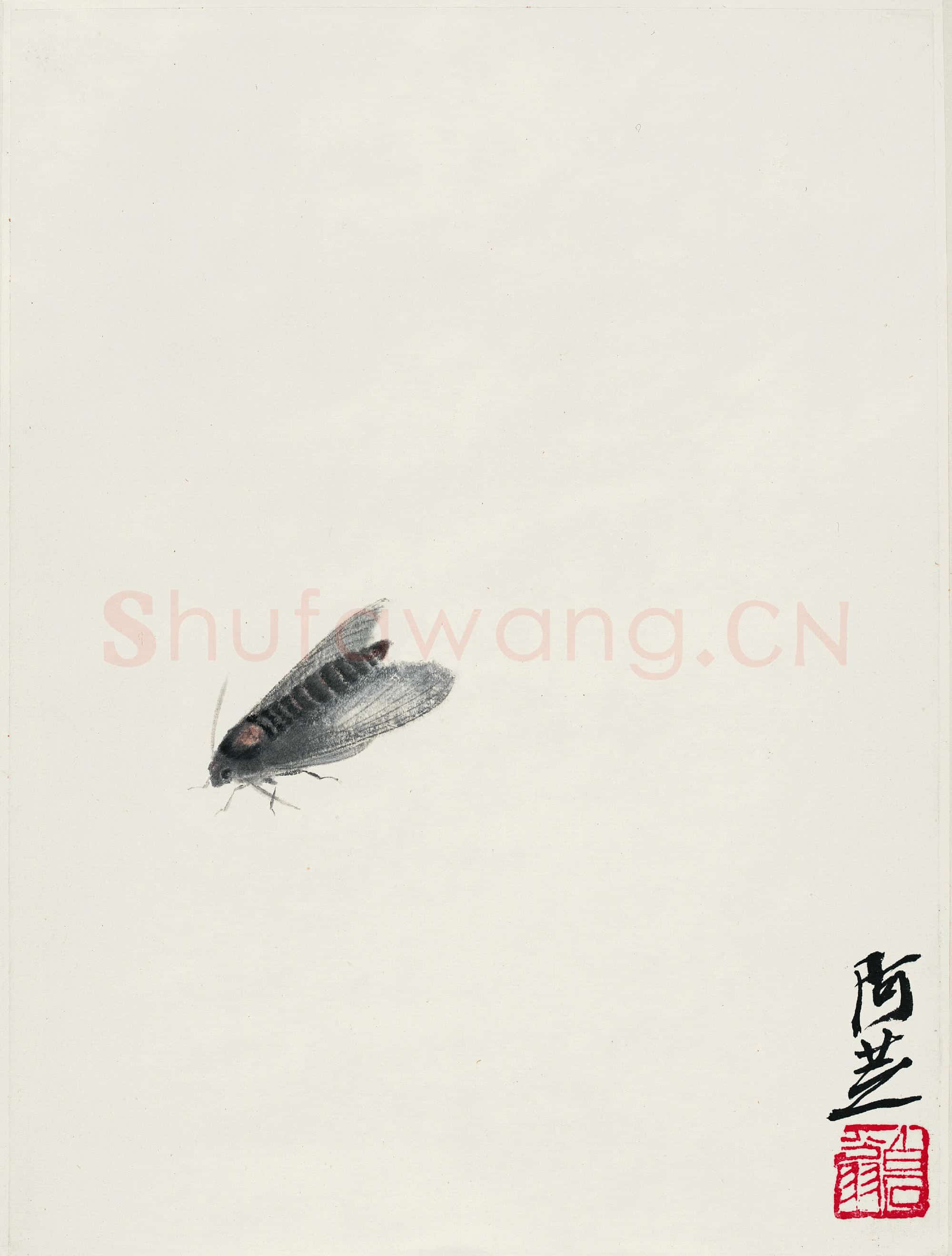 齐白石 灰蛾