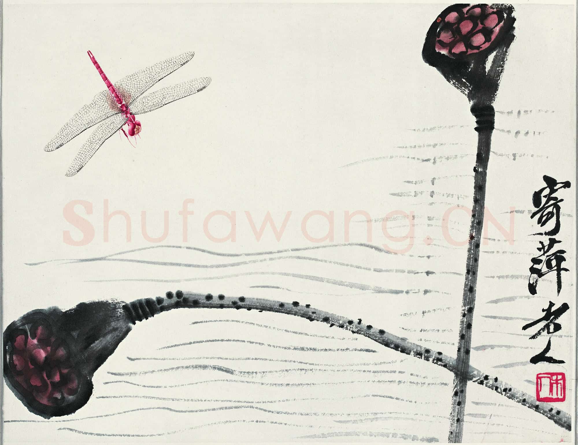 近现代 齐白石国画 莲蓬蜻蜓