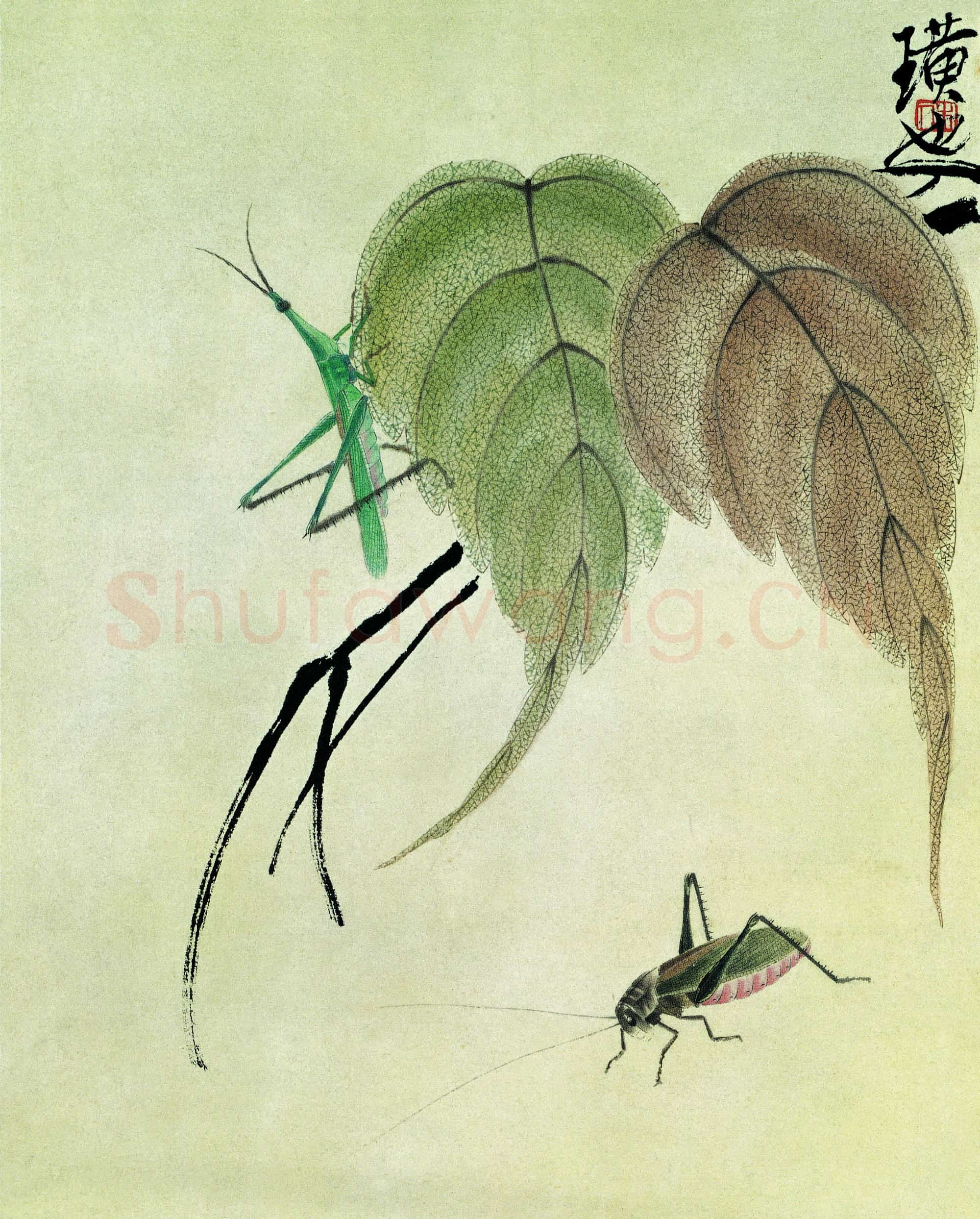 近现代 齐白石国画 小品-01