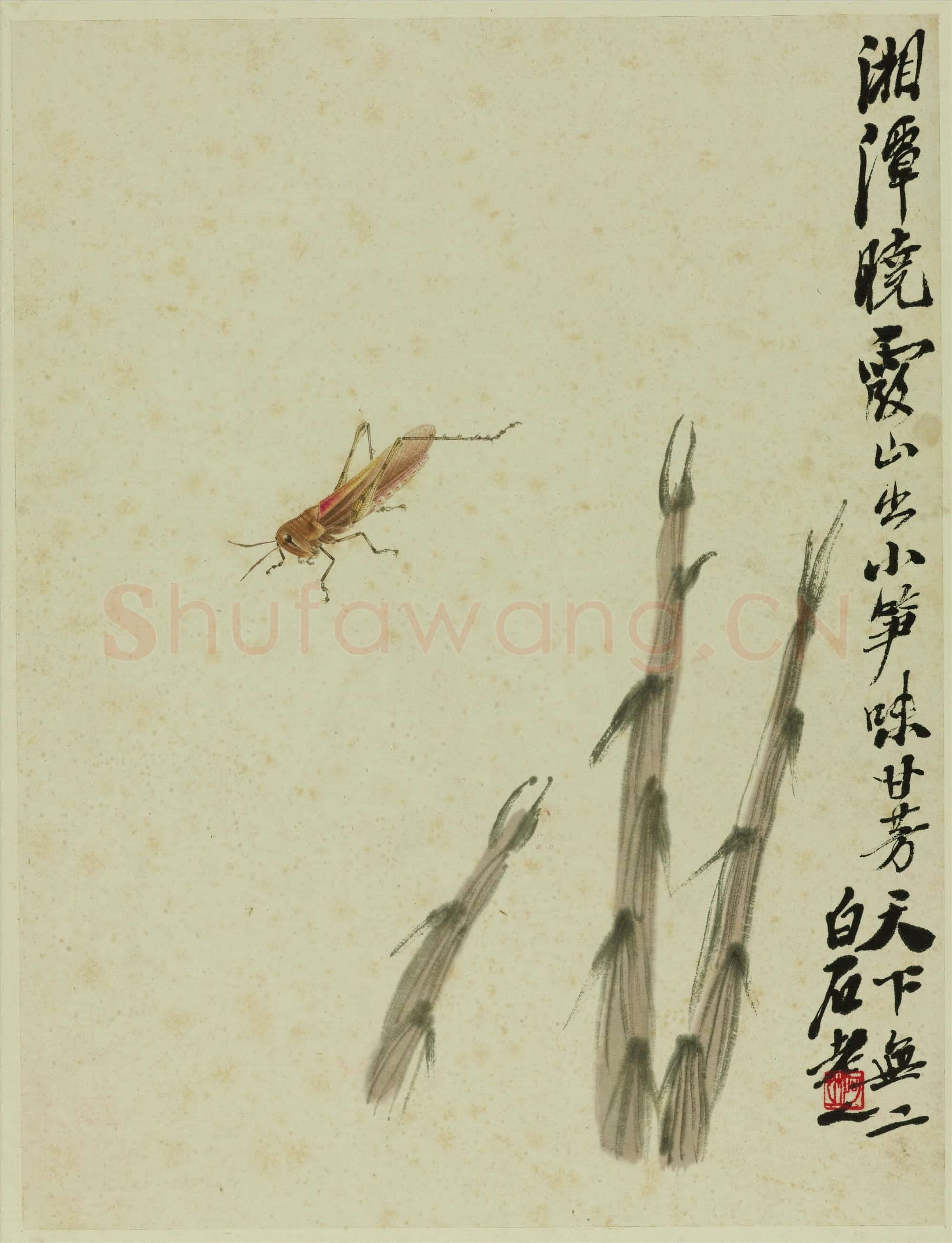 齐白石 竹笋蚂蚱