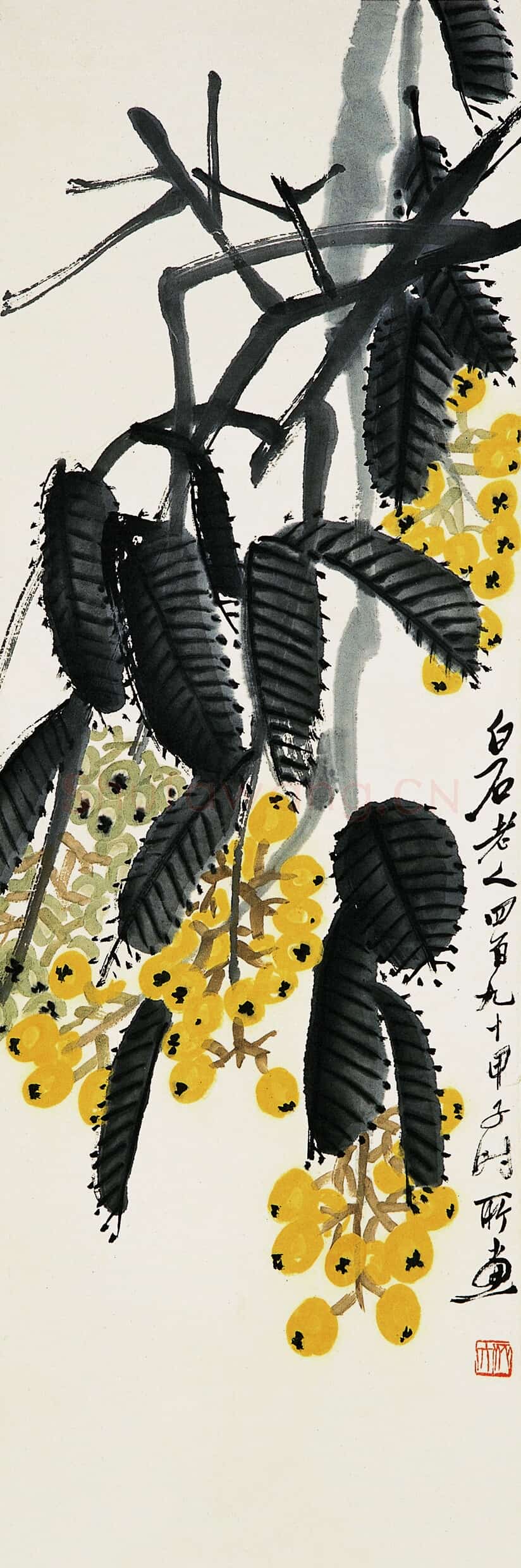 近现代 齐白石国画 枇杷