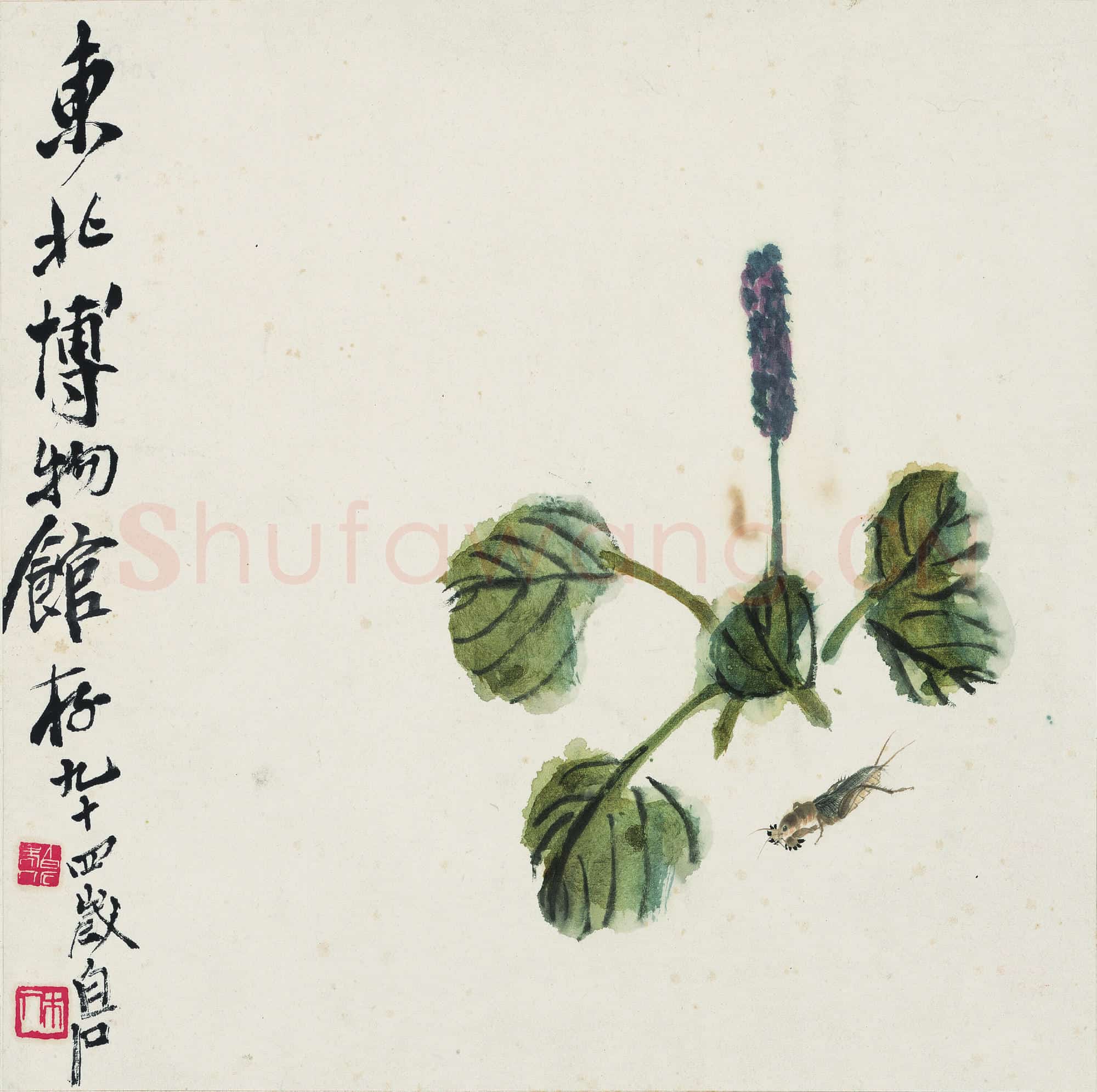 近现代 齐白石国画 蝼蛄红蓼图