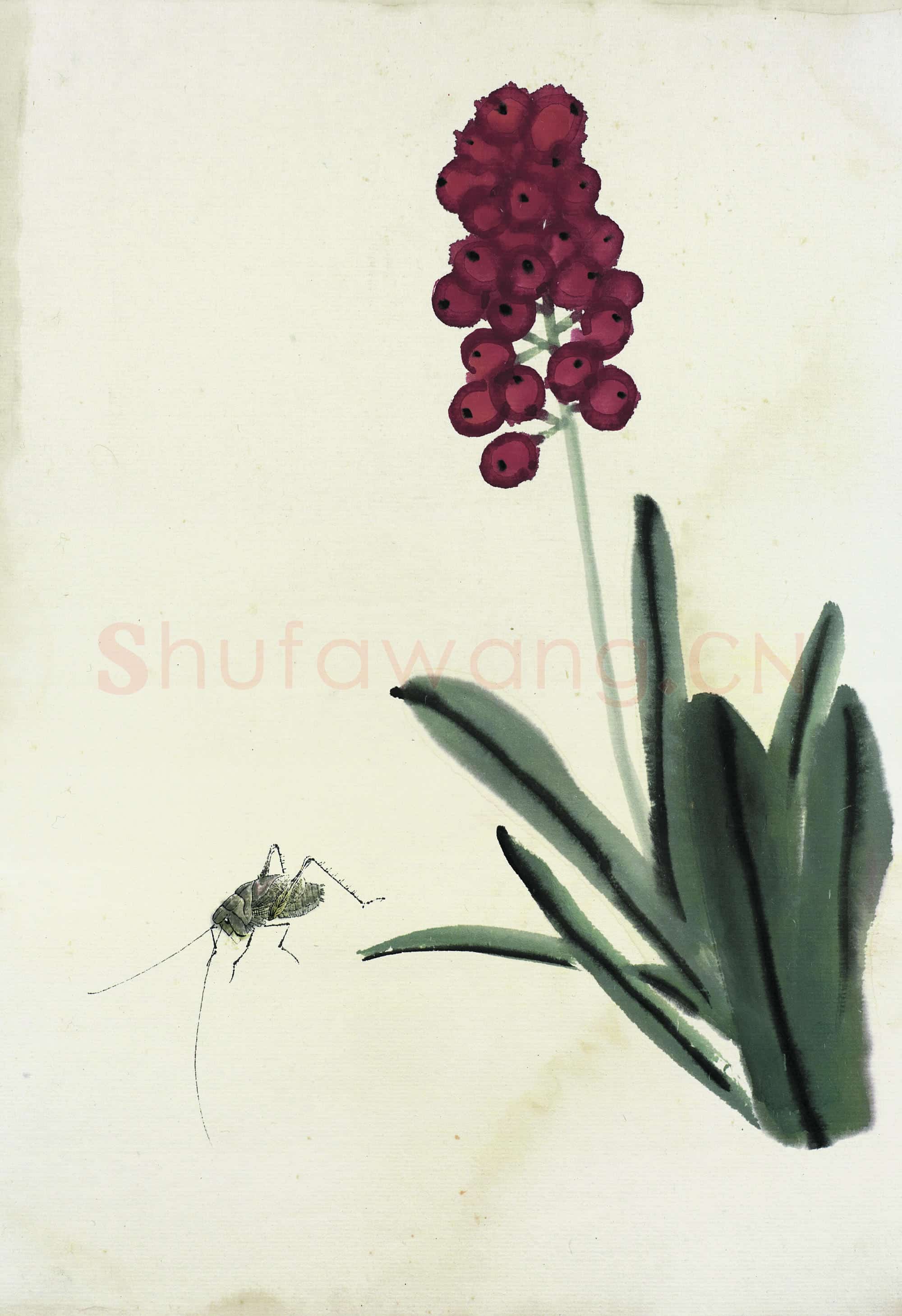 近现代 齐白石 国画作品精选-413